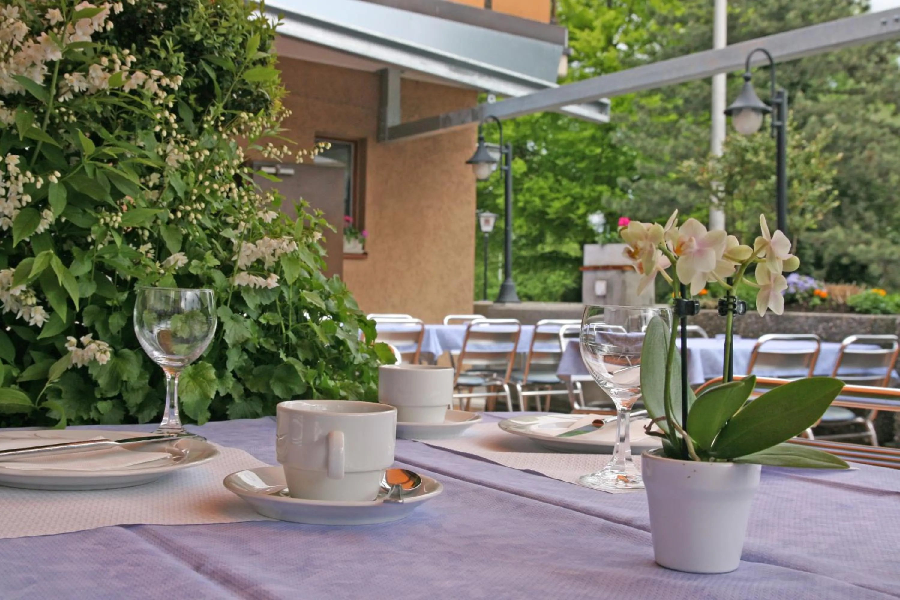 Balcony/Terrace in Hotel Glärnisch Hof