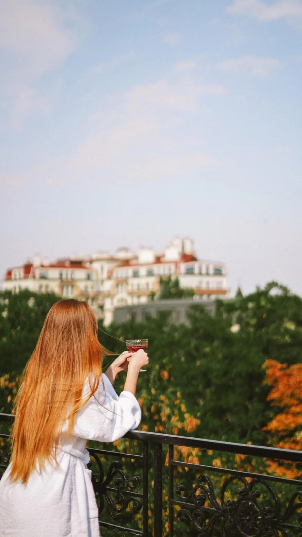 Balcony/Terrace in Alexandrovskiy Hotel