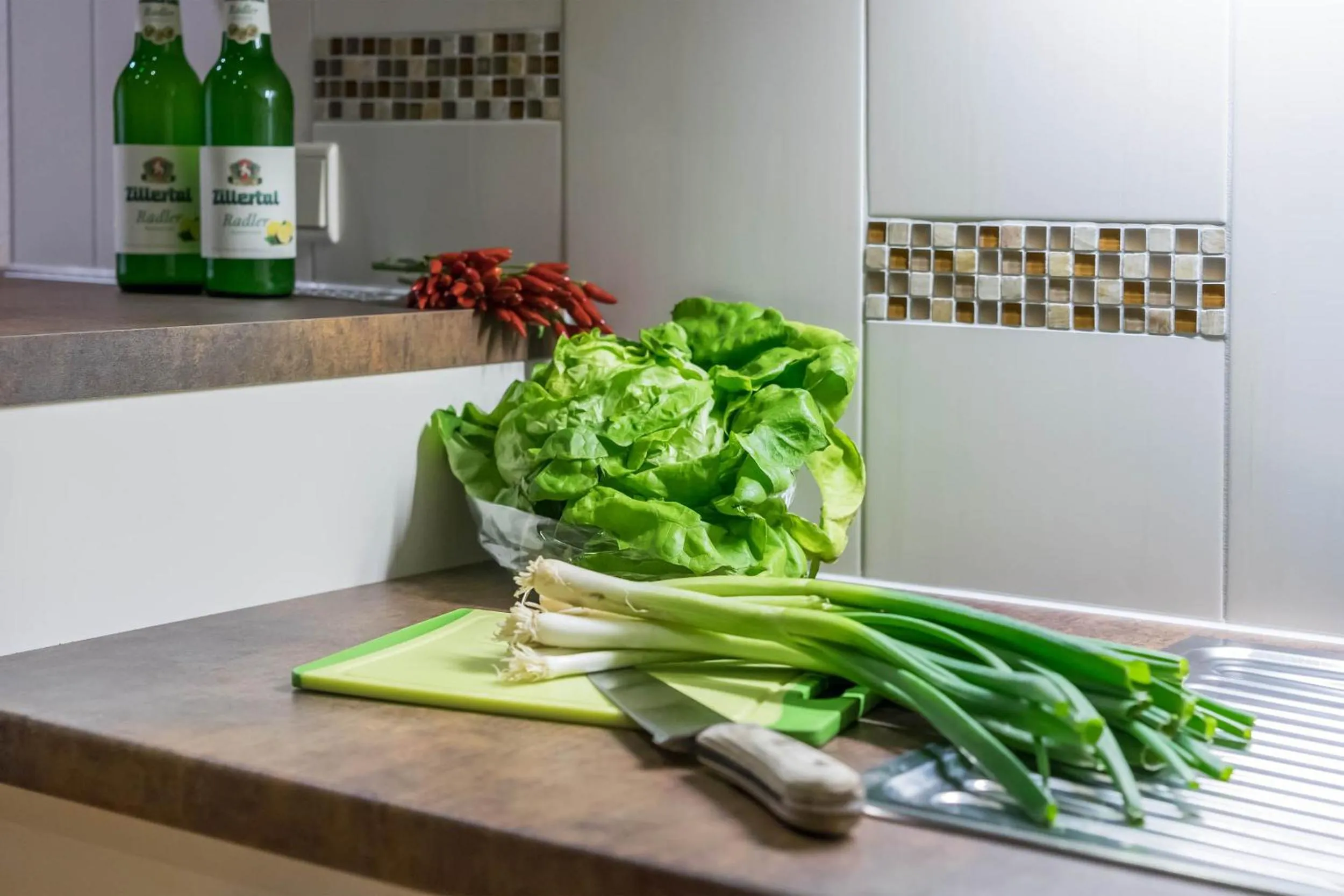Kitchen or kitchenette in Aparthotel Gallahaus