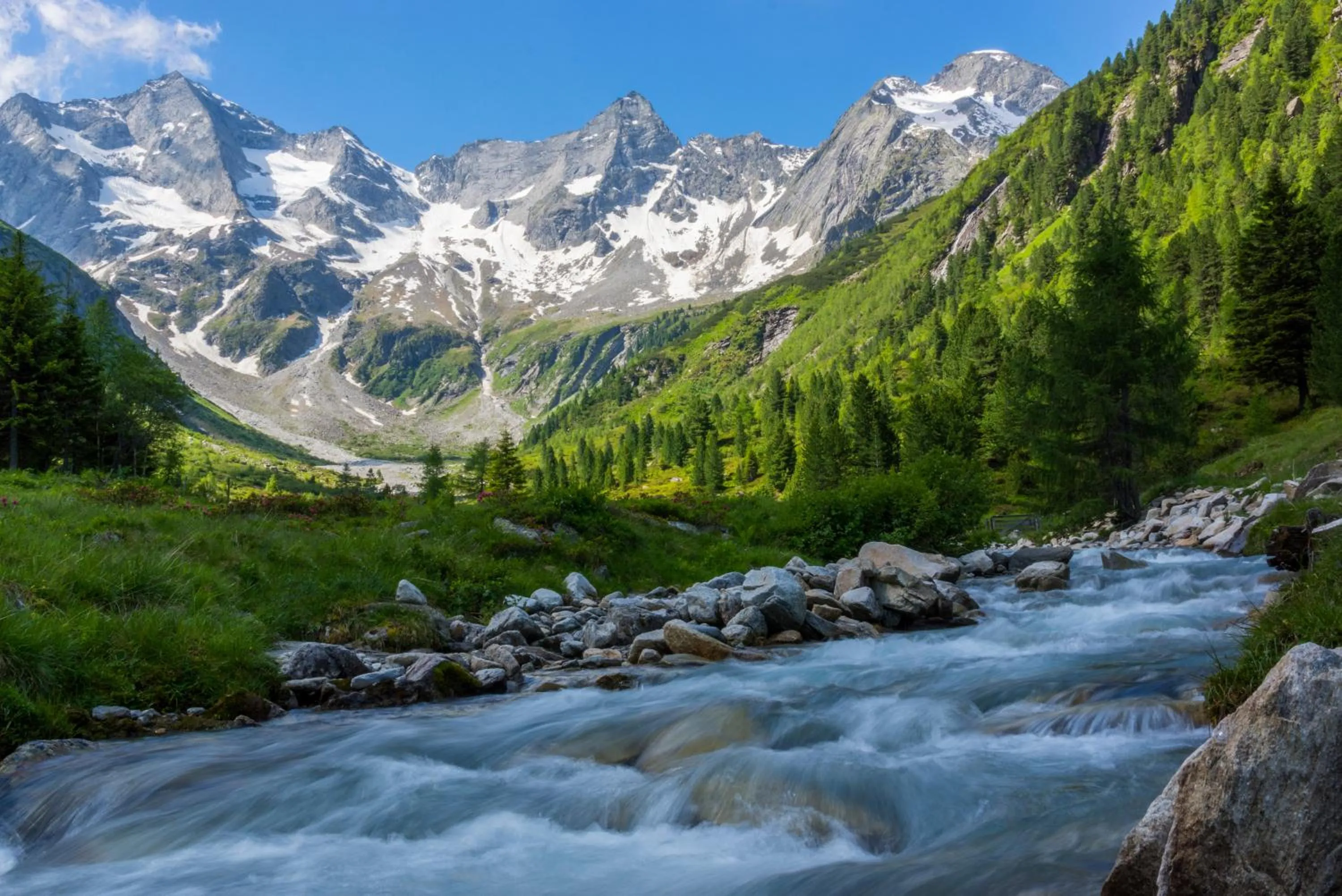 View (from property/room) in Aparthotel Gallahaus