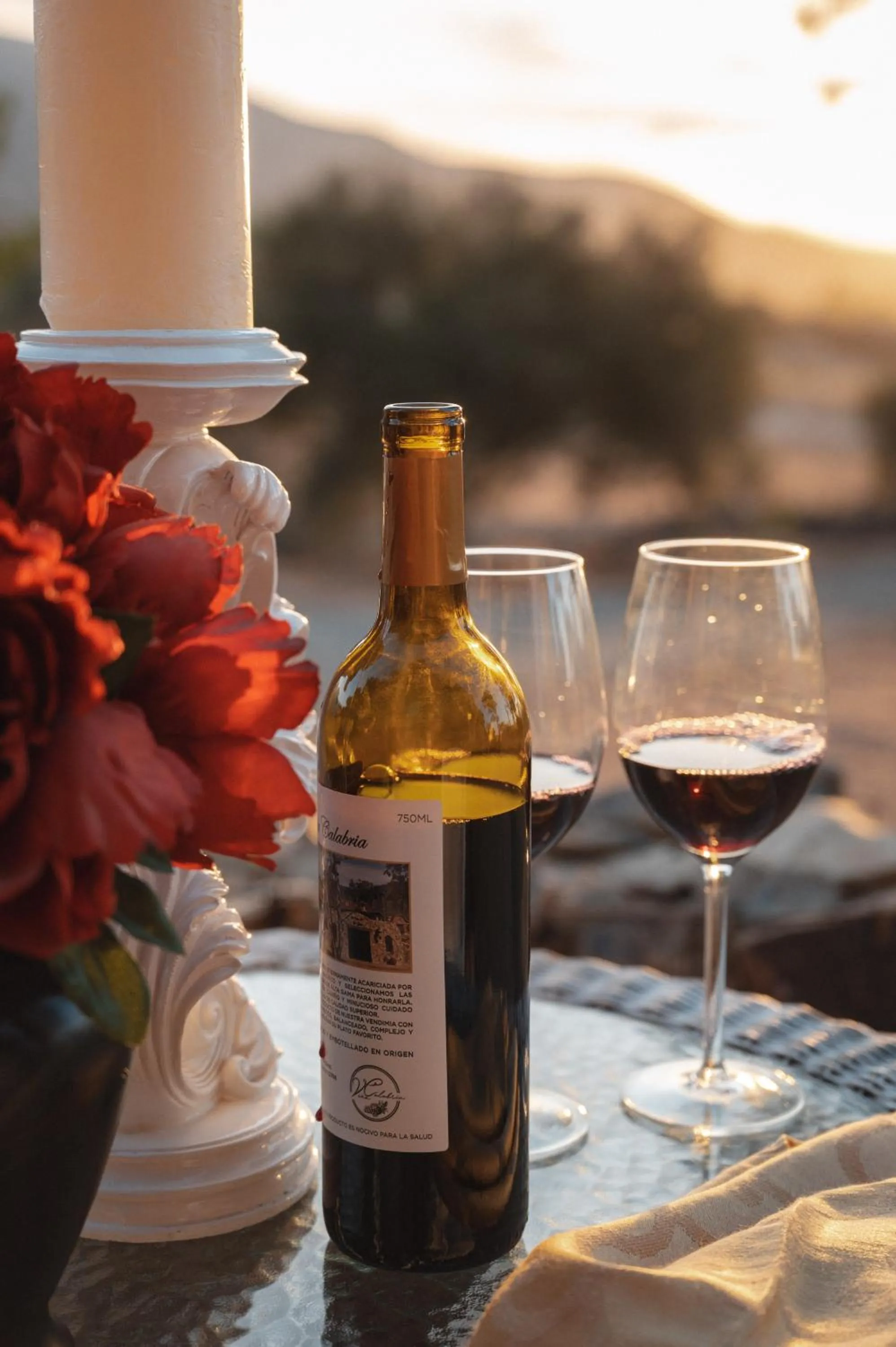 Alcoholic drinks in Viña Calabria