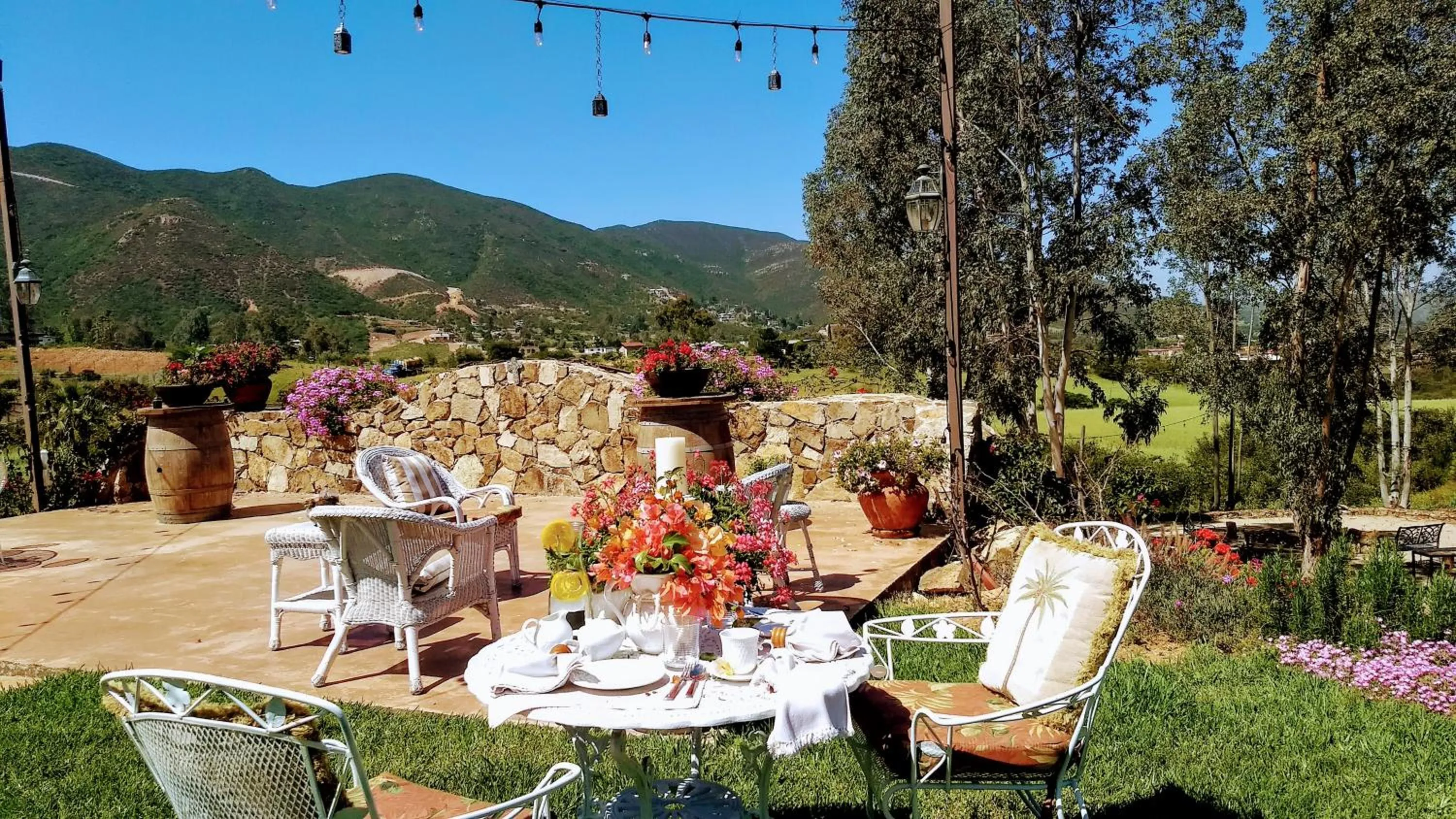 Patio in Viña Calabria