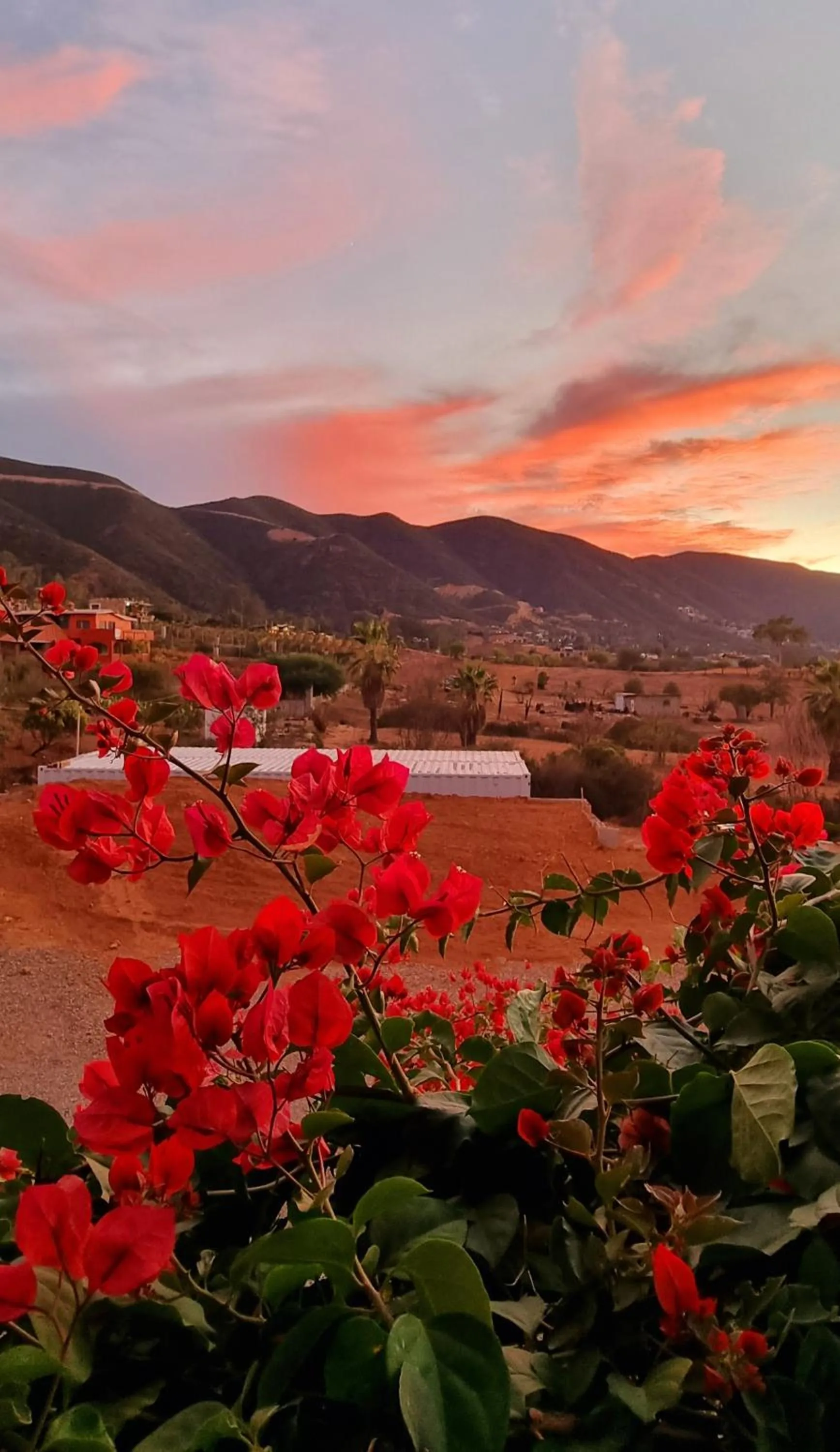 Sunset in Viña Calabria