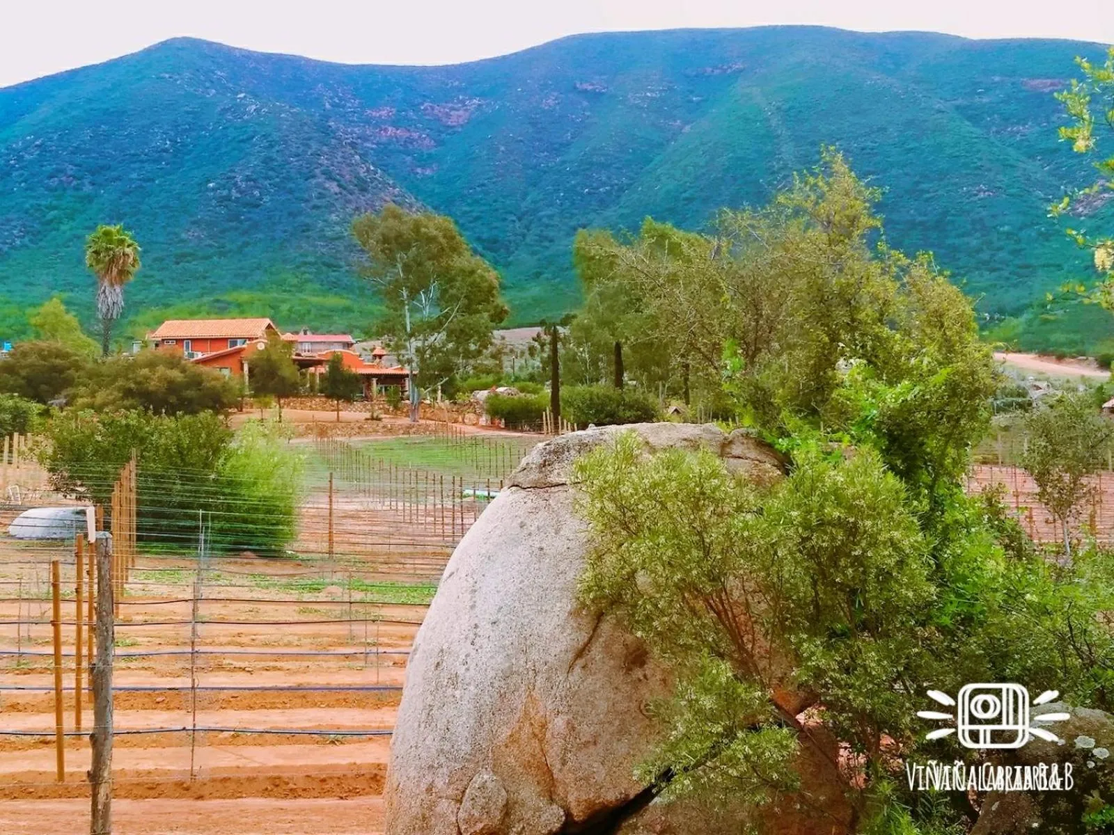 Balcony/Terrace in Viña Calabria