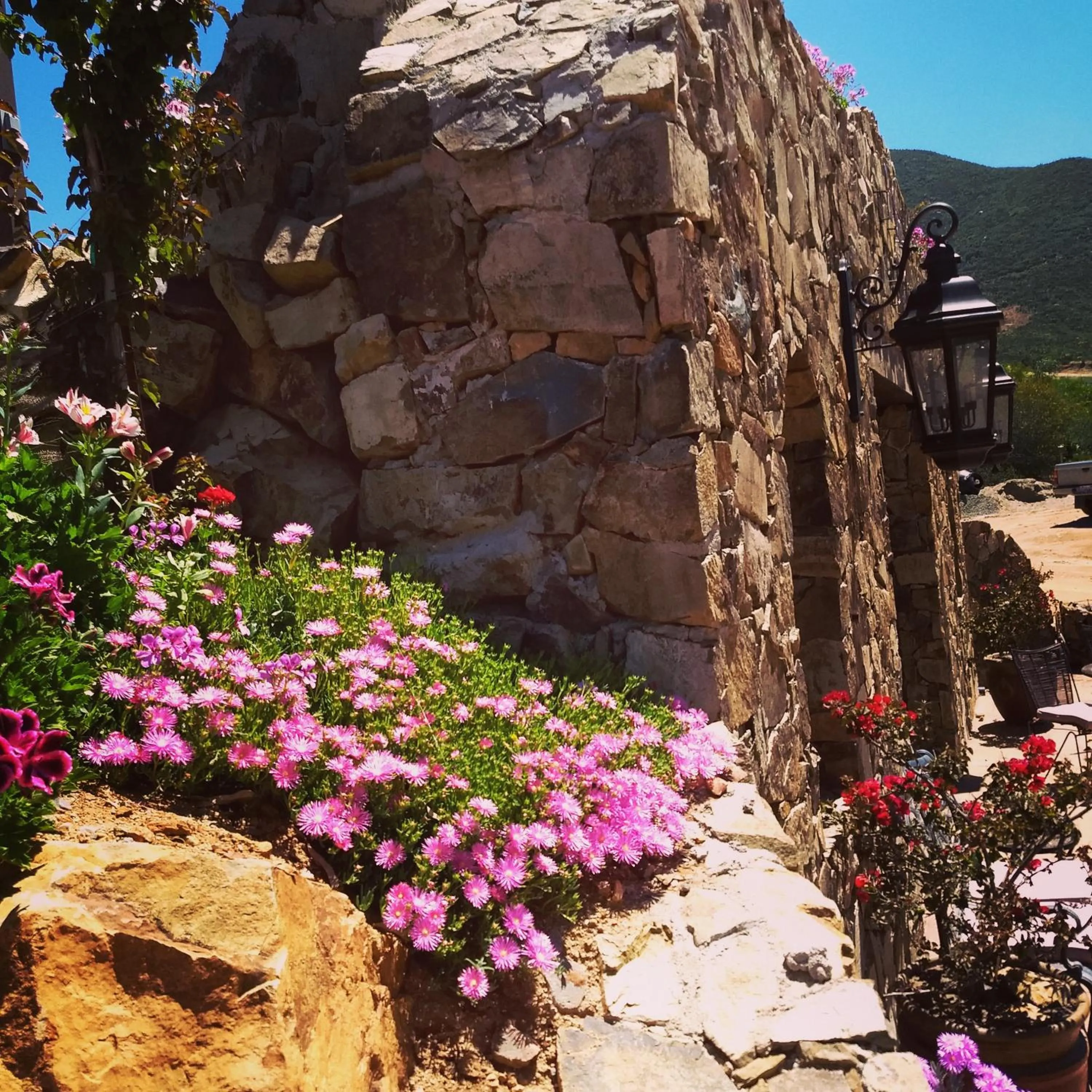 Natural landscape in Viña Calabria
