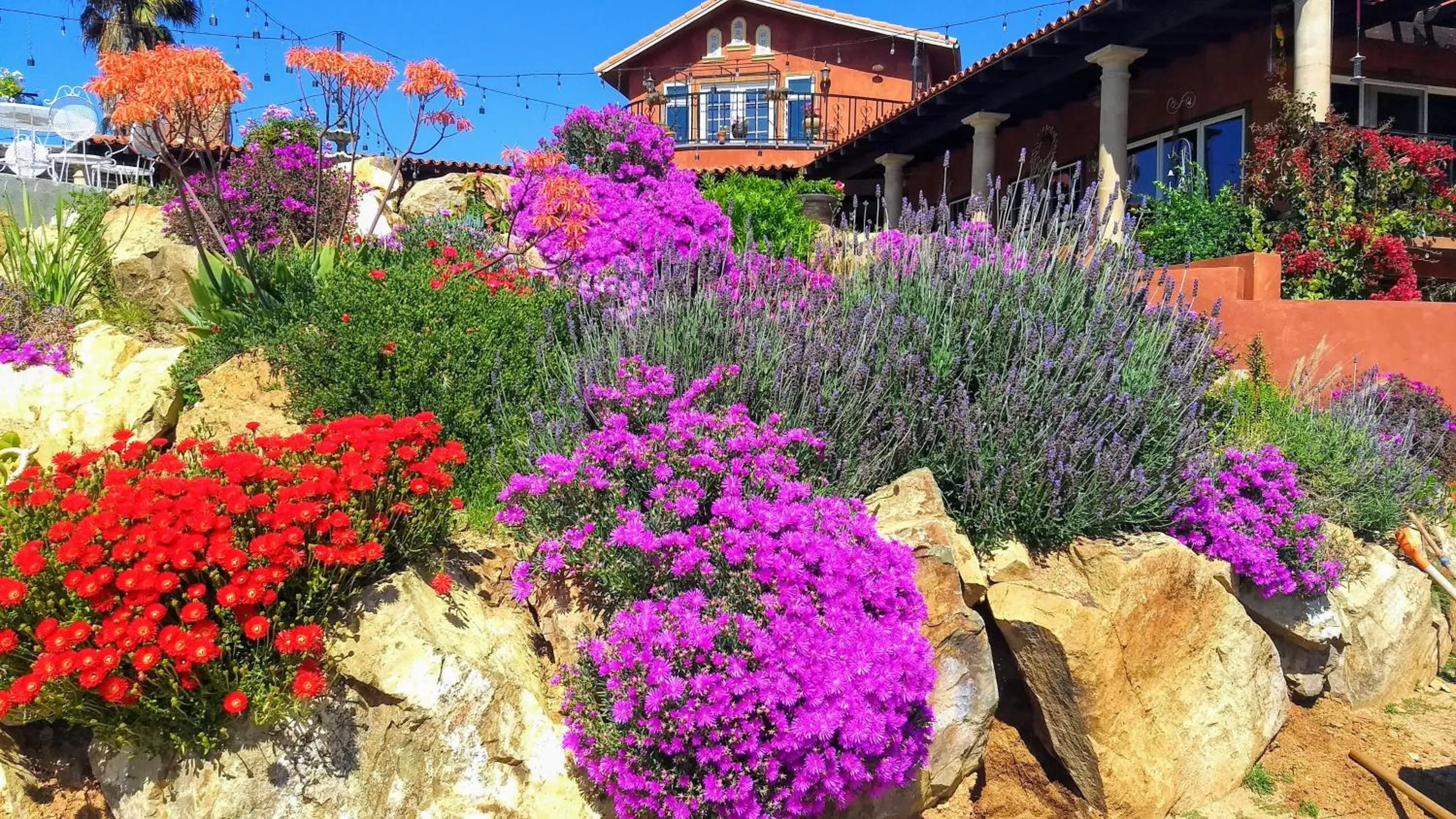 Property building in Viña Calabria