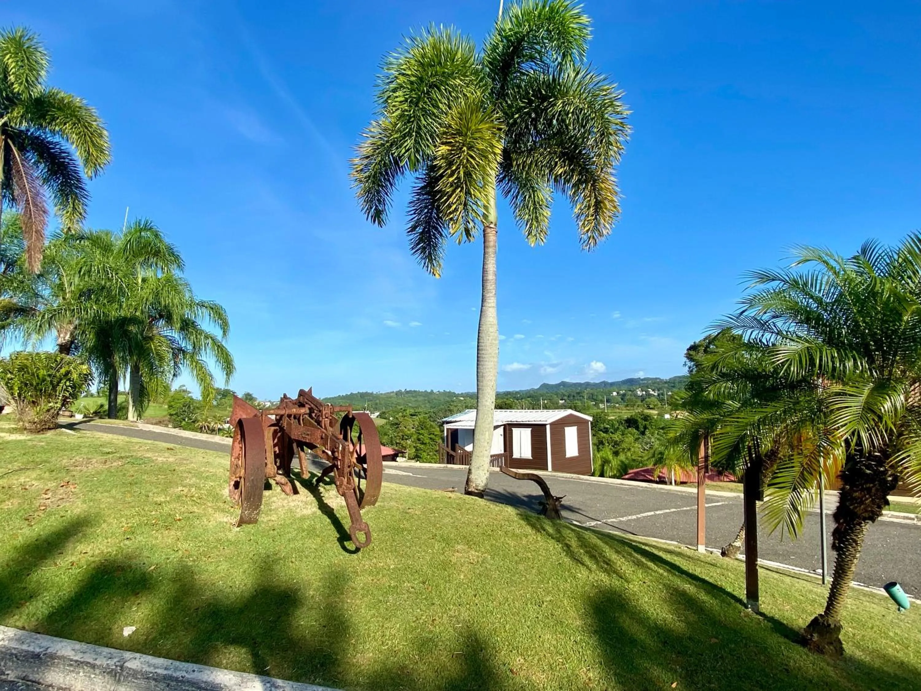 Garden view in Hacienda el Jibarito