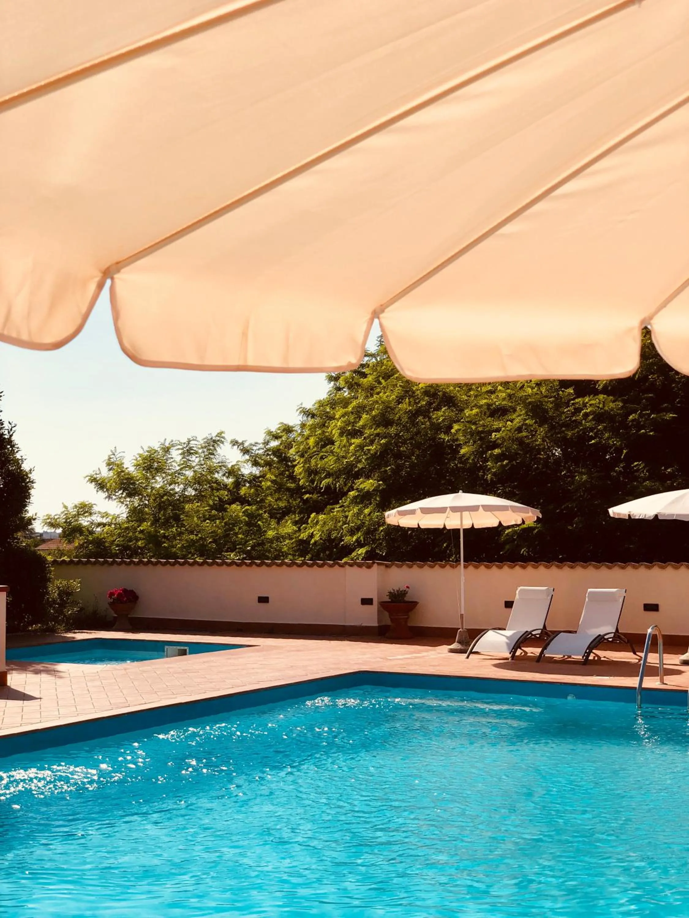 Swimming pool in Villa Lavinia B&B