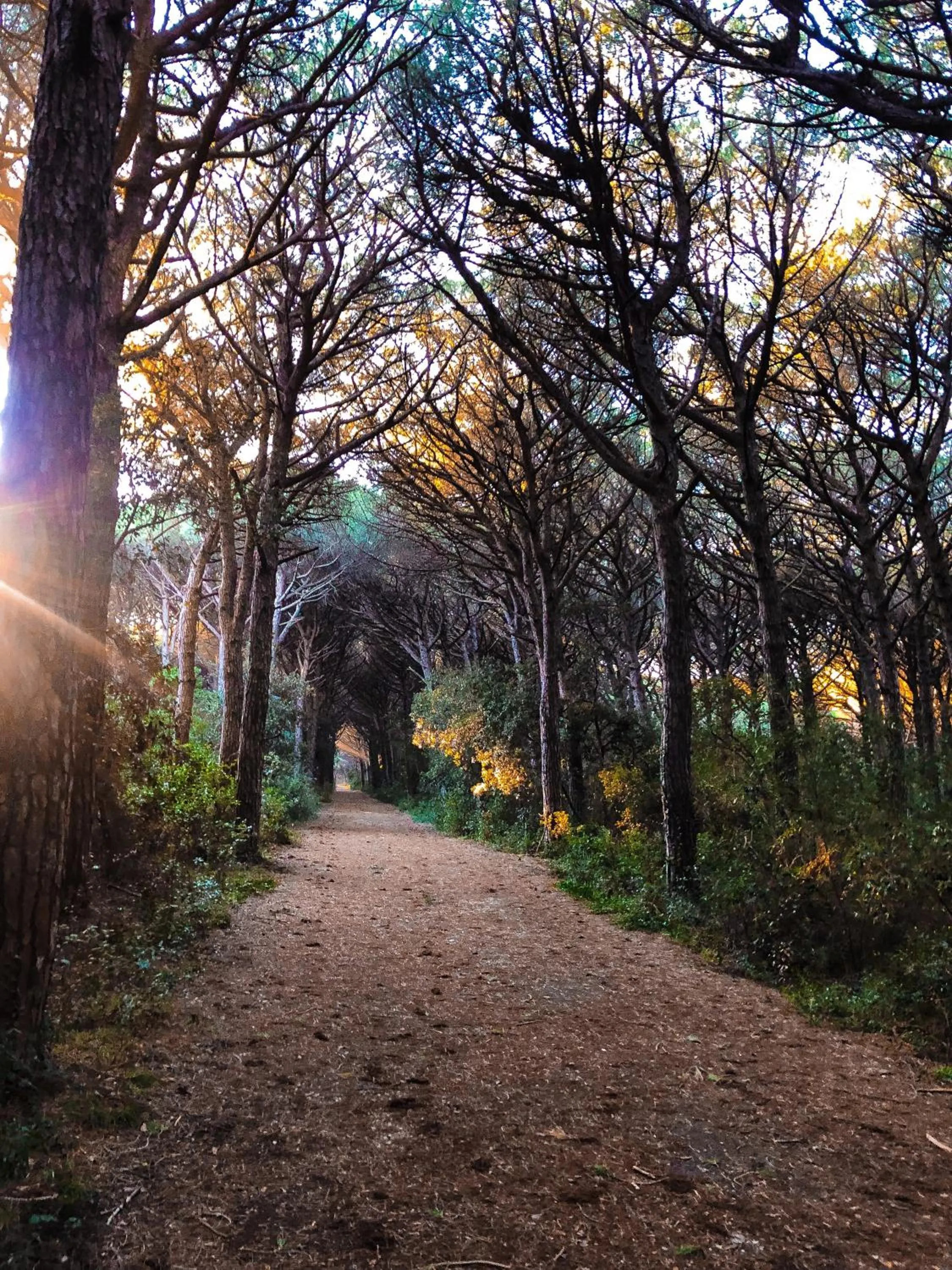 Natural landscape in Villa Lavinia B&B