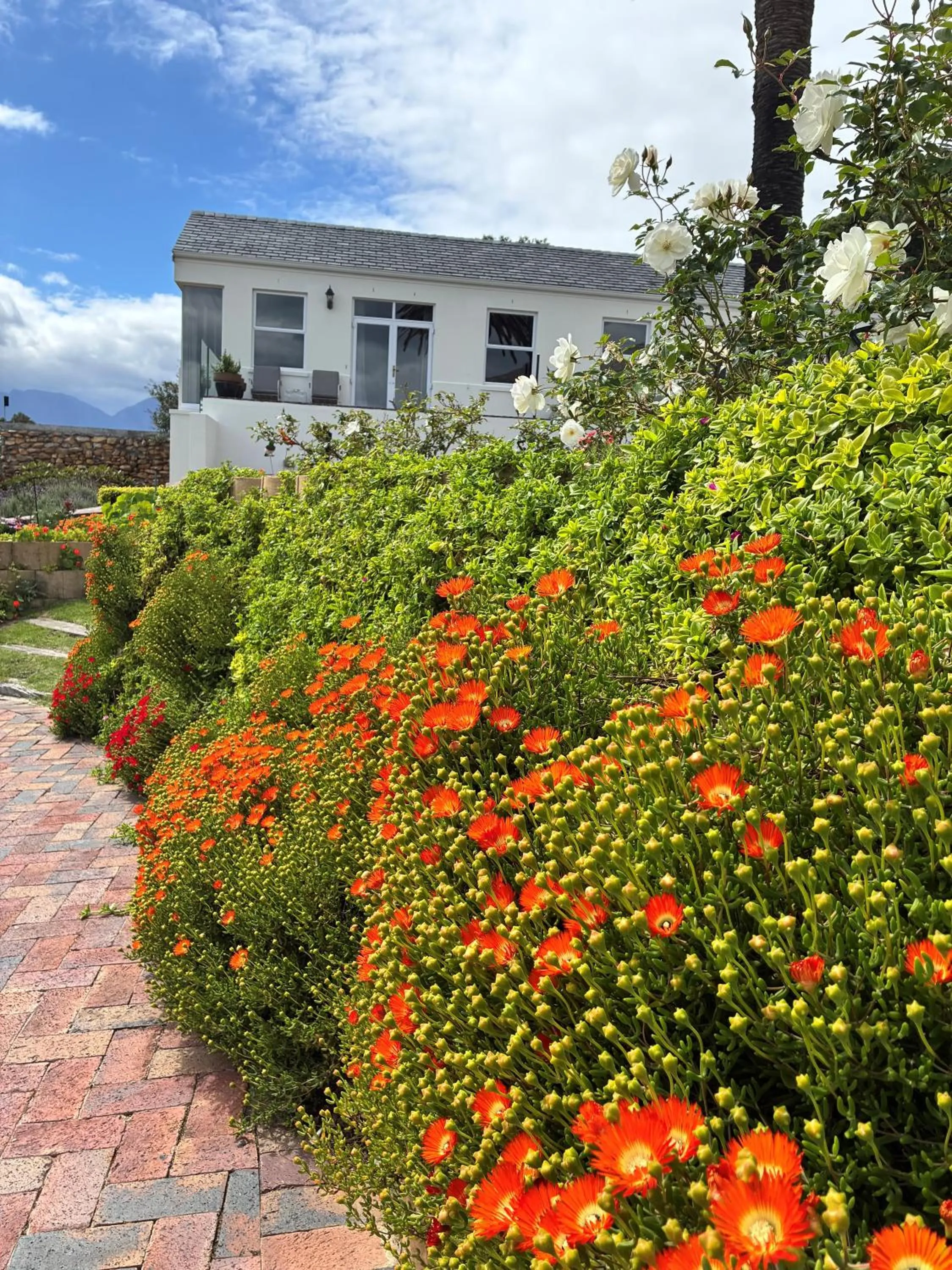 Garden in Manor on the Bay