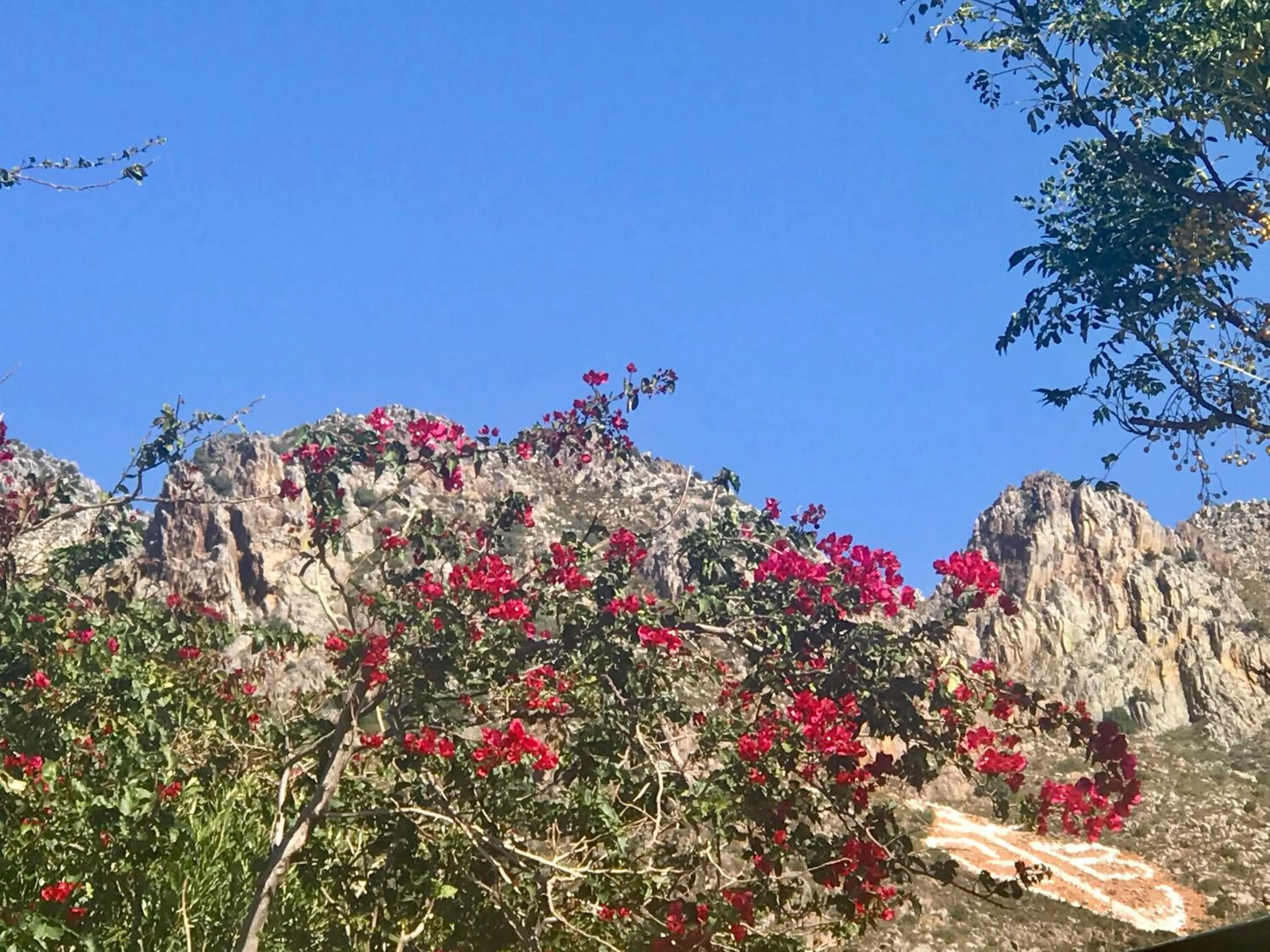 Mountain view in Manor on the Bay