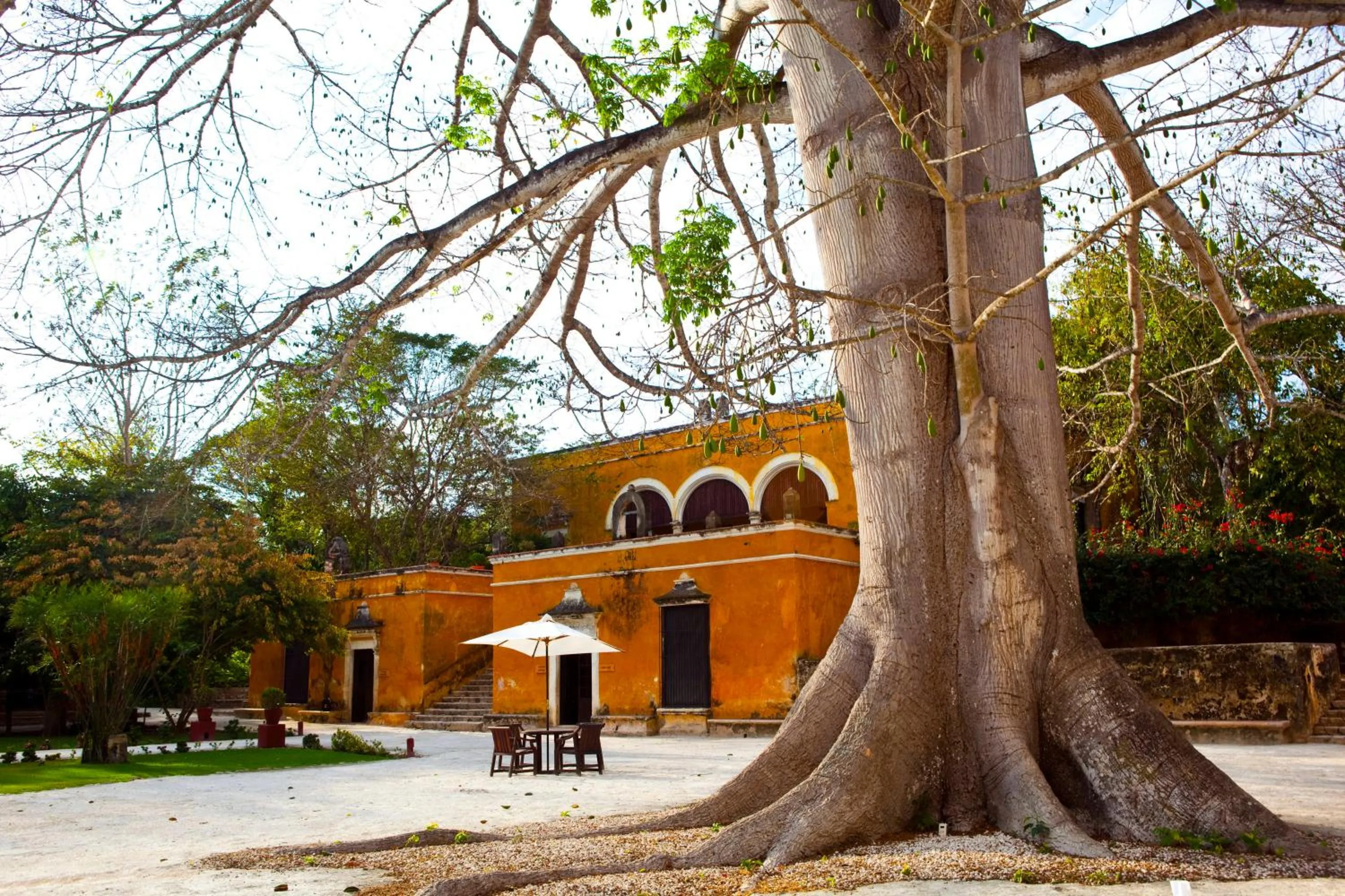Property building in Hacienda Uayamon