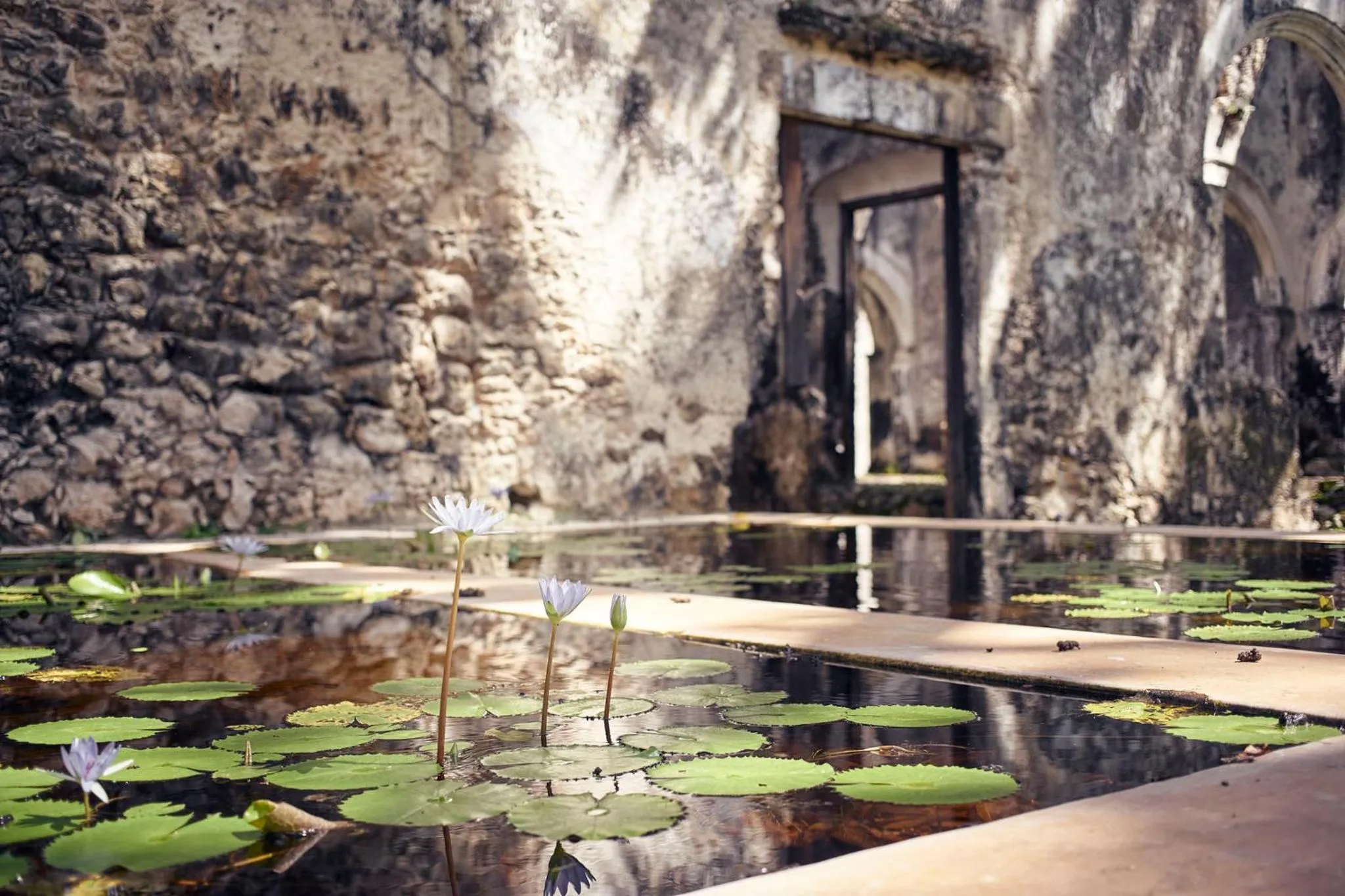 Other in Hacienda Uayamon