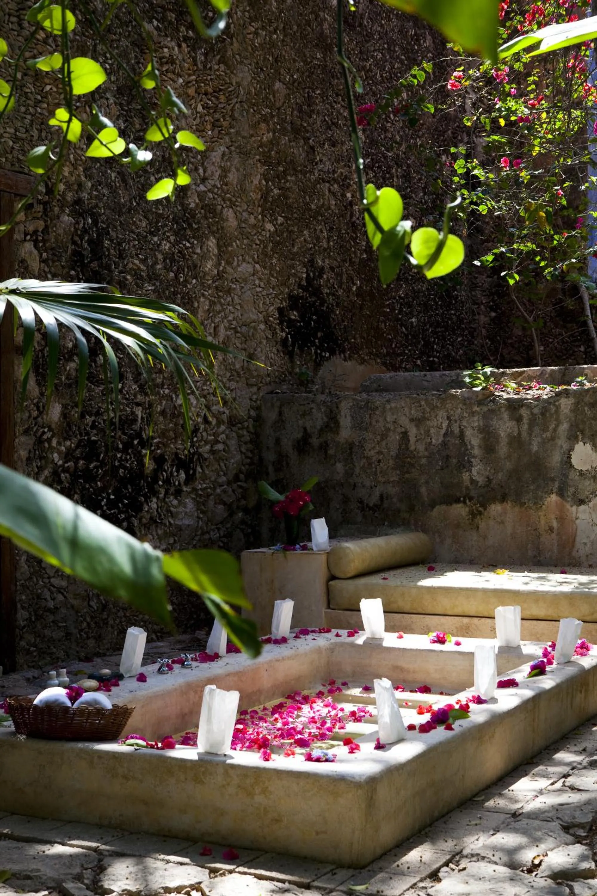 Garden in Hacienda San Jose Cholul