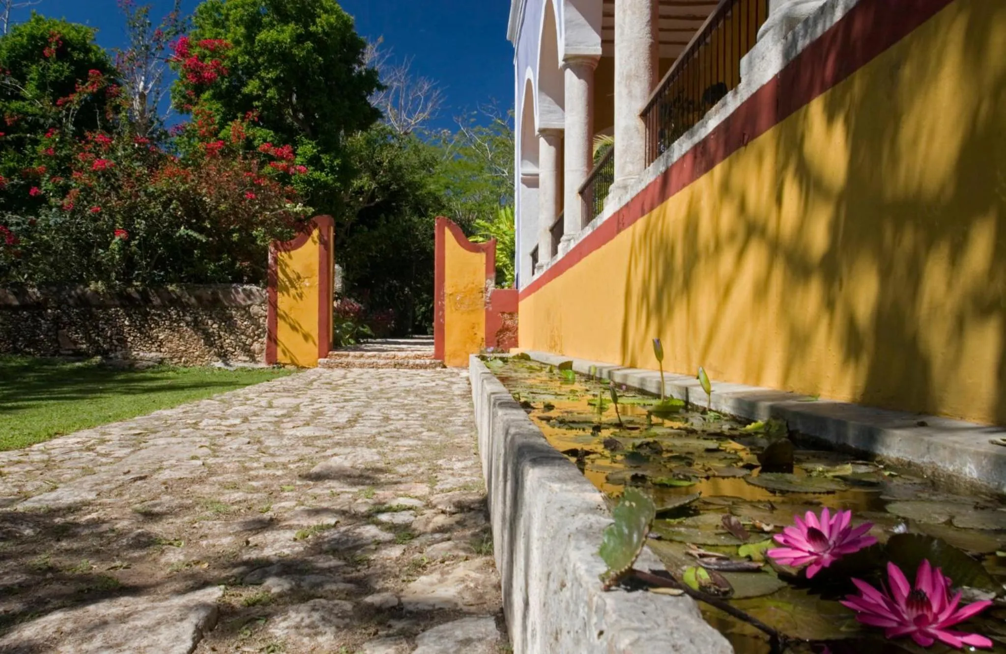 Other in Hacienda San Jose Cholul