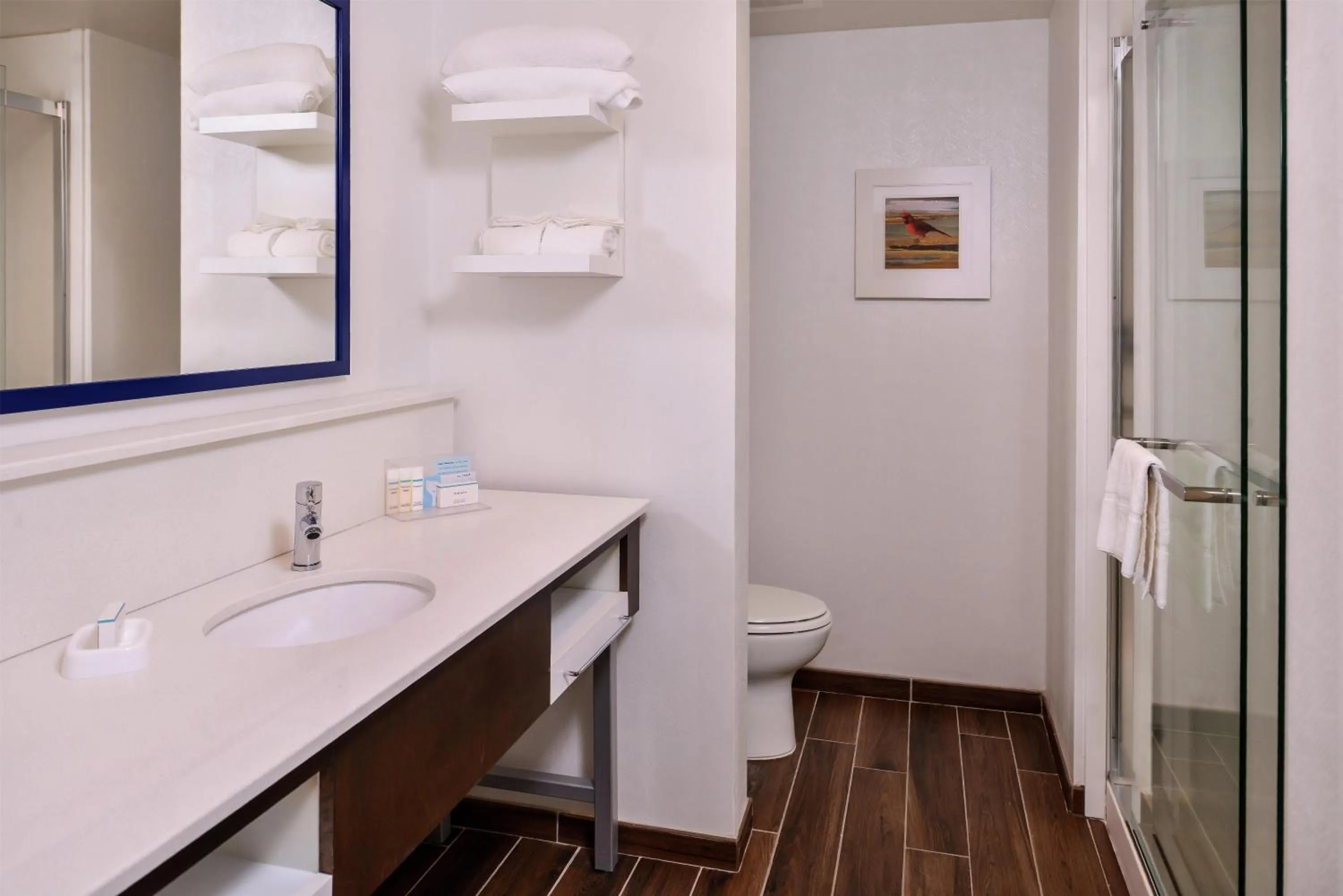 Bathroom in Hampton Inn Benson