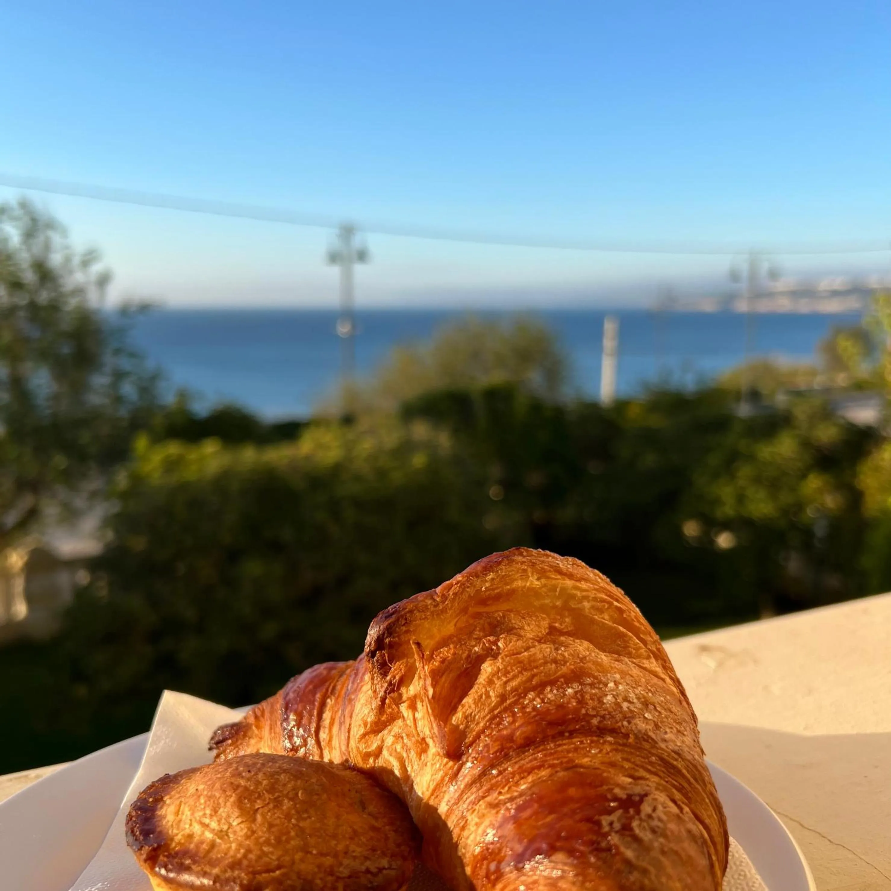 Natural landscape in Villa Raffaella