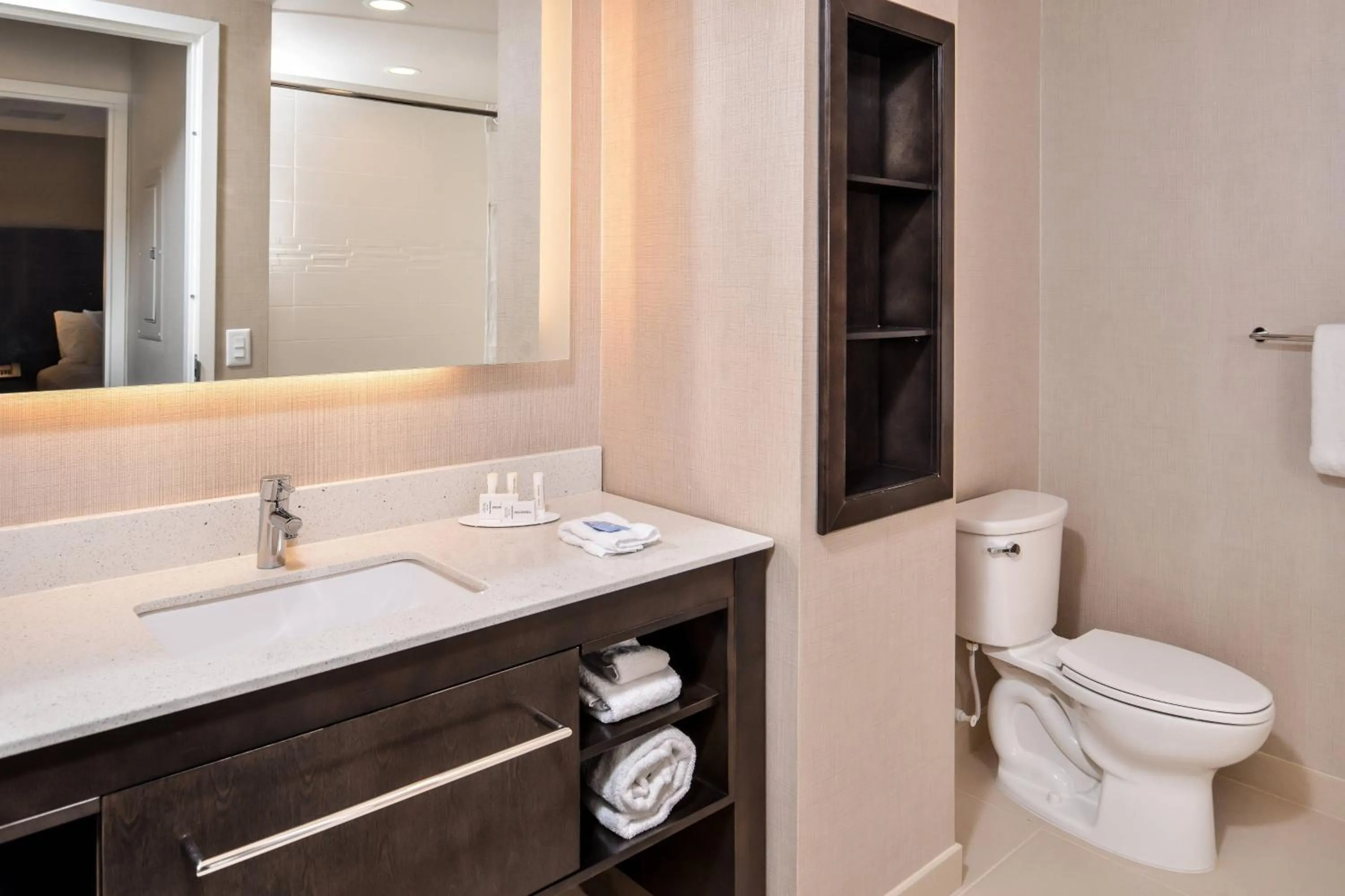Bathroom in Residence Inn by Marriott Charlotte Northlake