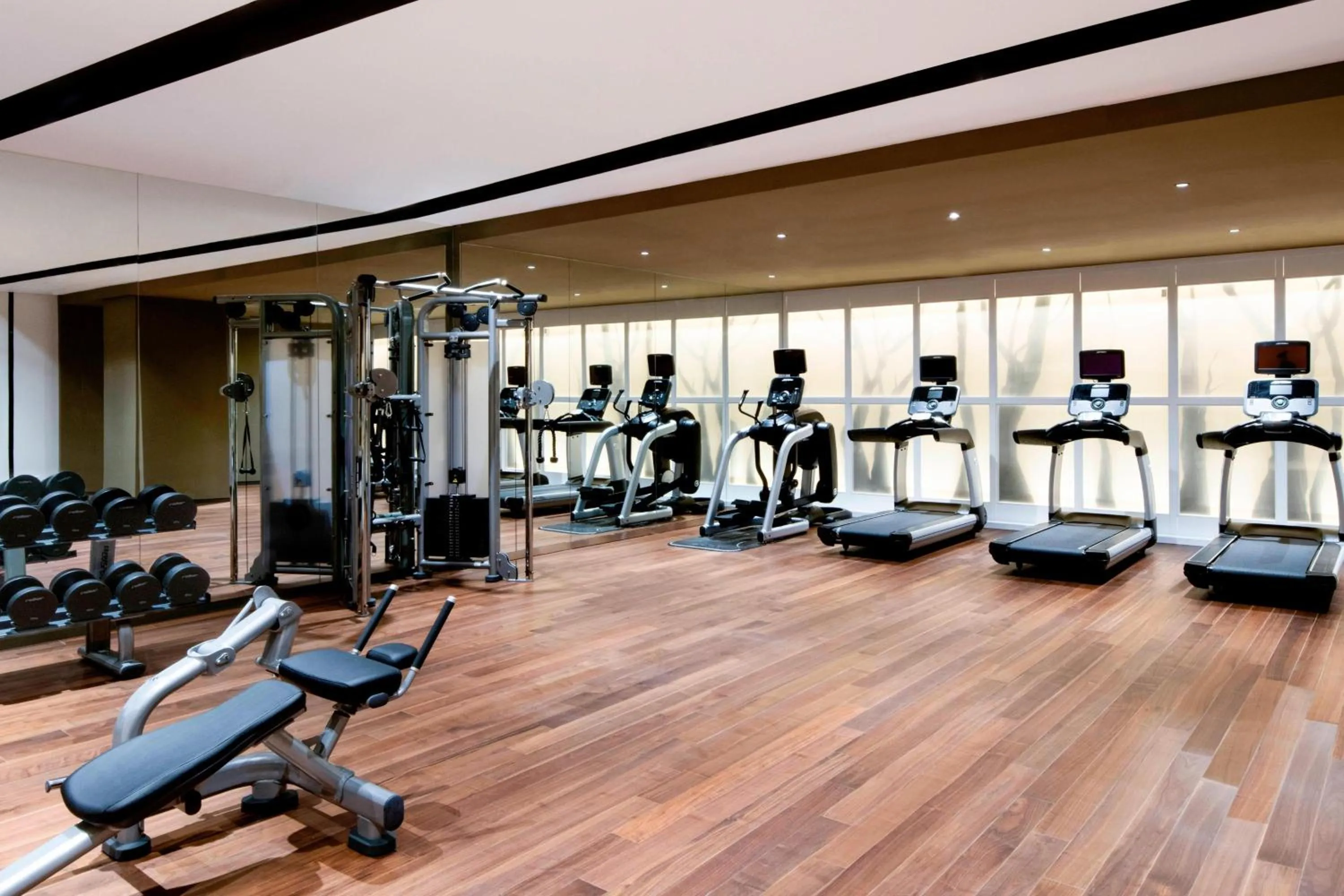 Fitness centre/facilities in Courtyard by Marriott Seoul Botanic Park