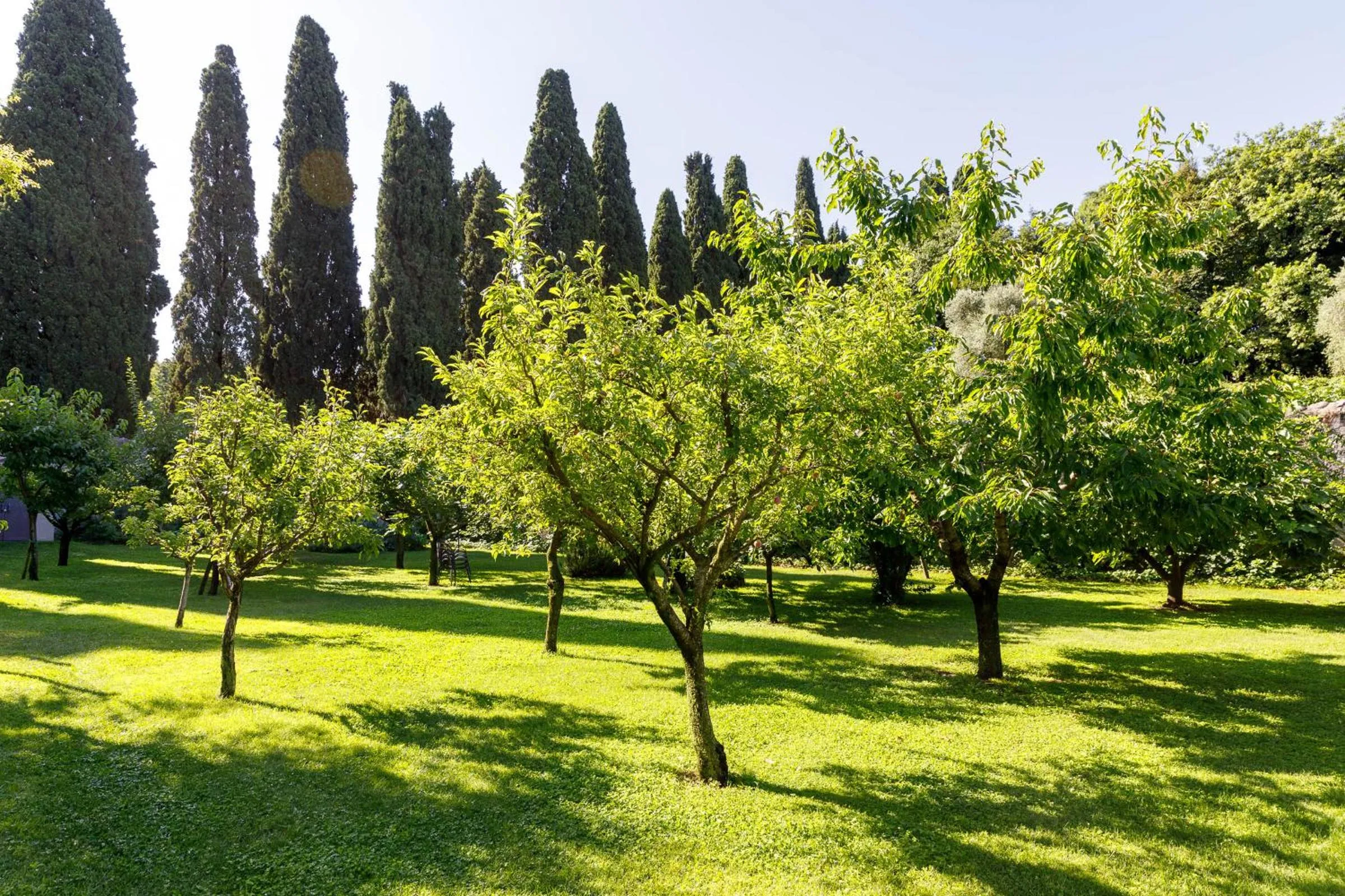 Spring in Villa Padovani Relais de Charme - Adults Only