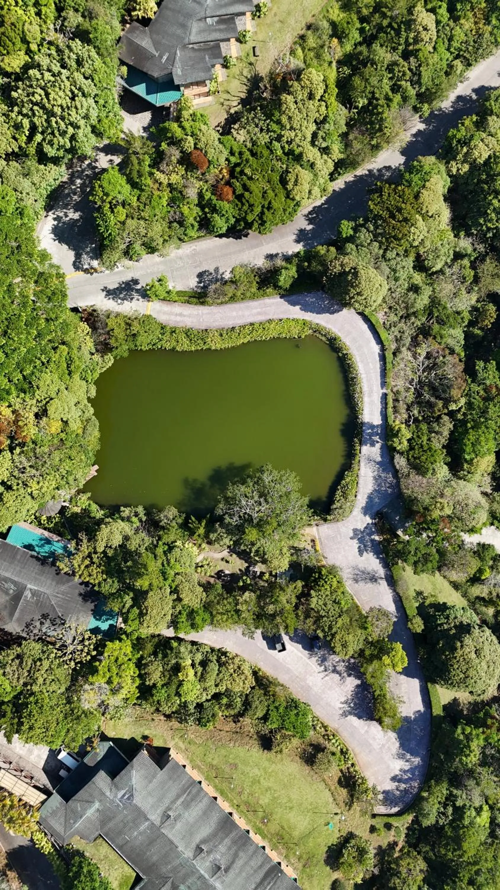 Bird's eye view in El Establo Mountain Hotel
