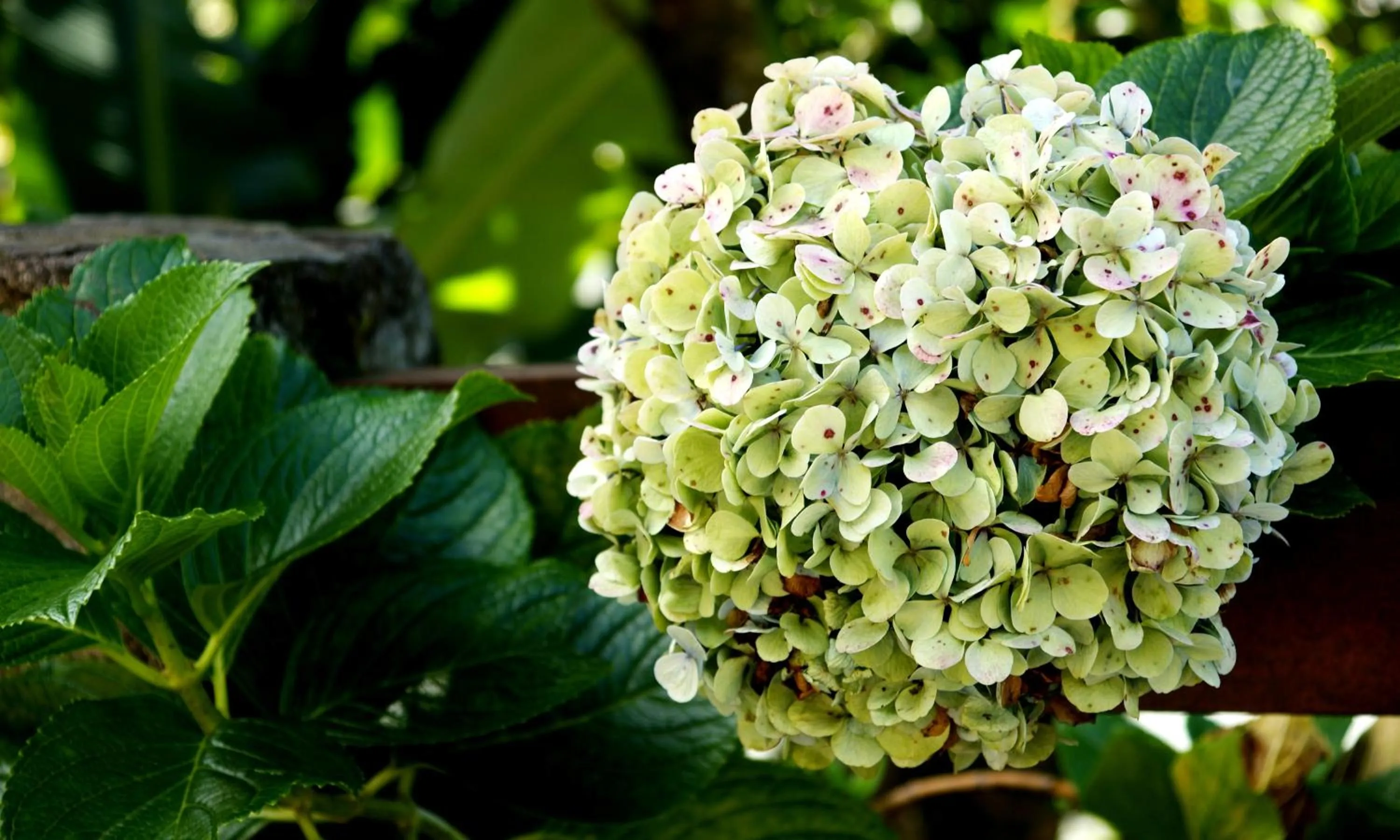 Other in El Establo Mountain Hotel