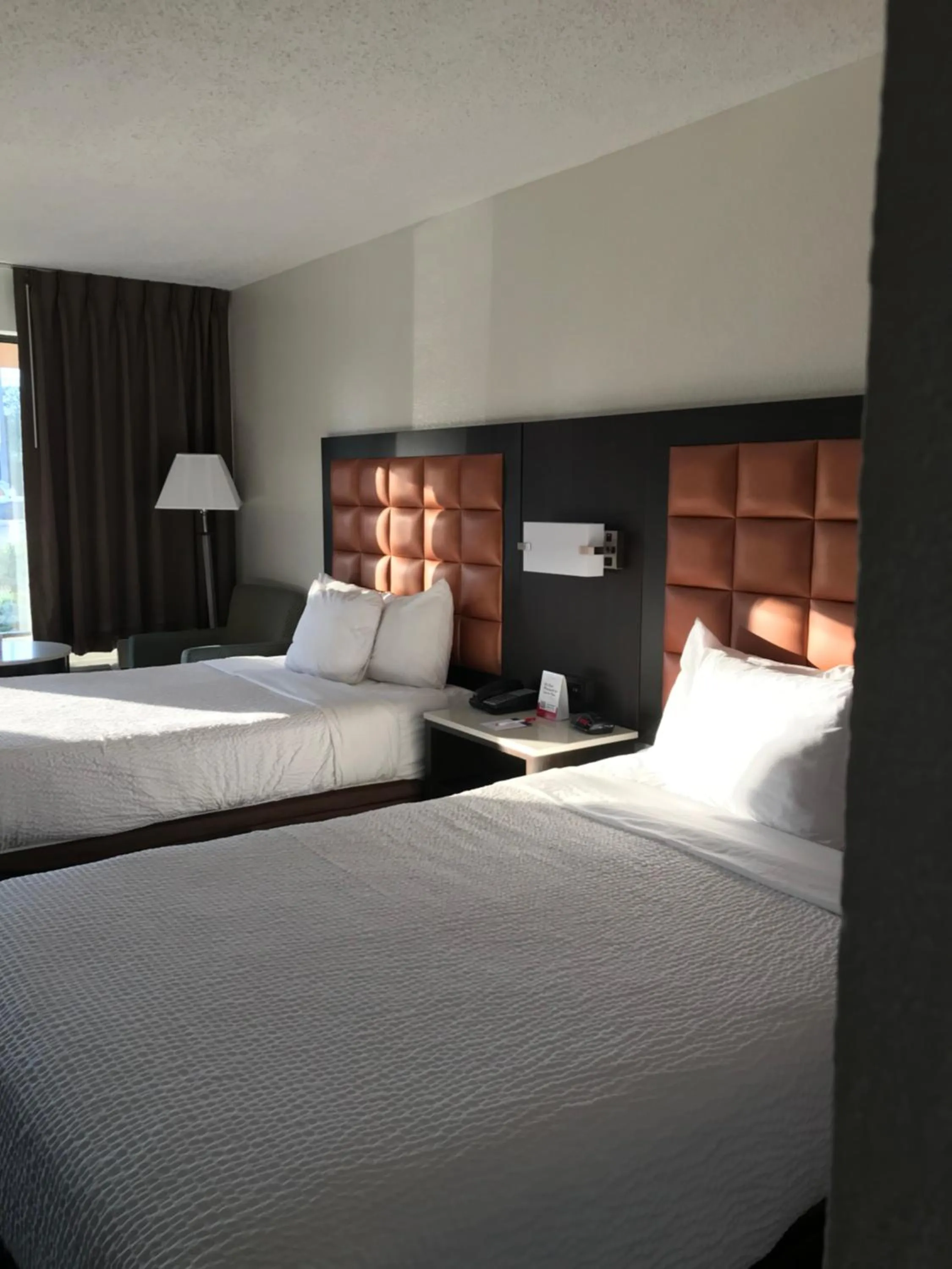 Bedroom, Bed in Ramada by Wyndham Temple Terrace/Tampa North