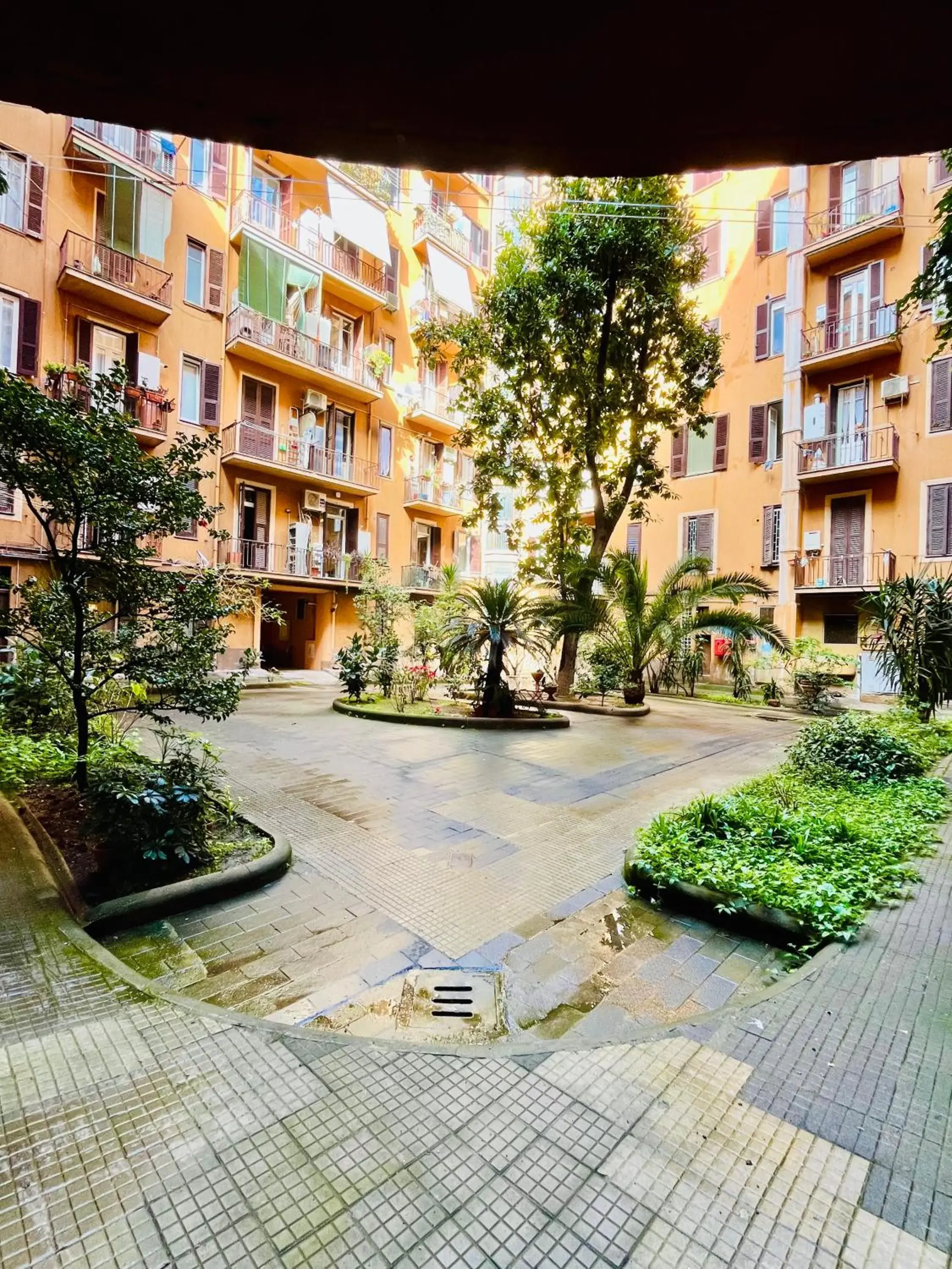 Garden view in ImeraRooms Garden view in ImeraRooms