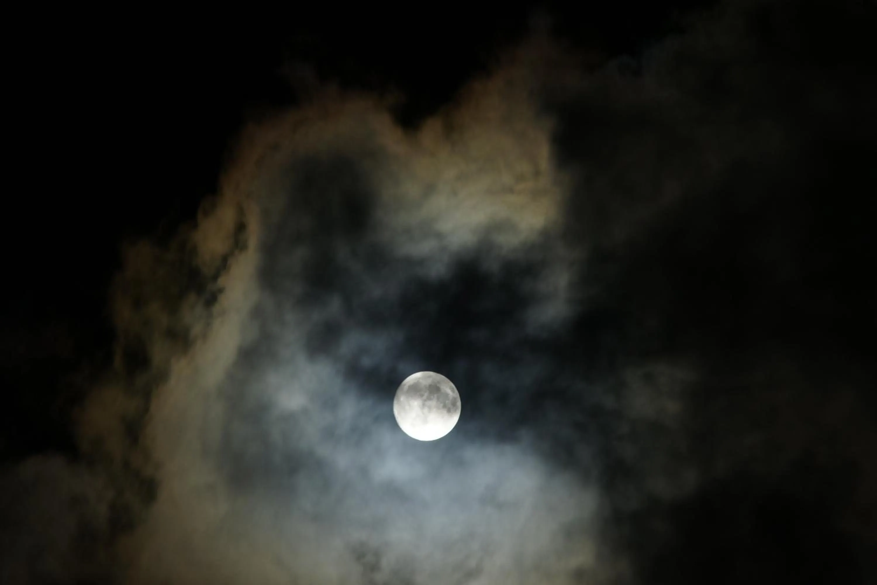 Other in 高野山 宿坊 恵光院 -Koyasan Syukubo Ekoin Temple-