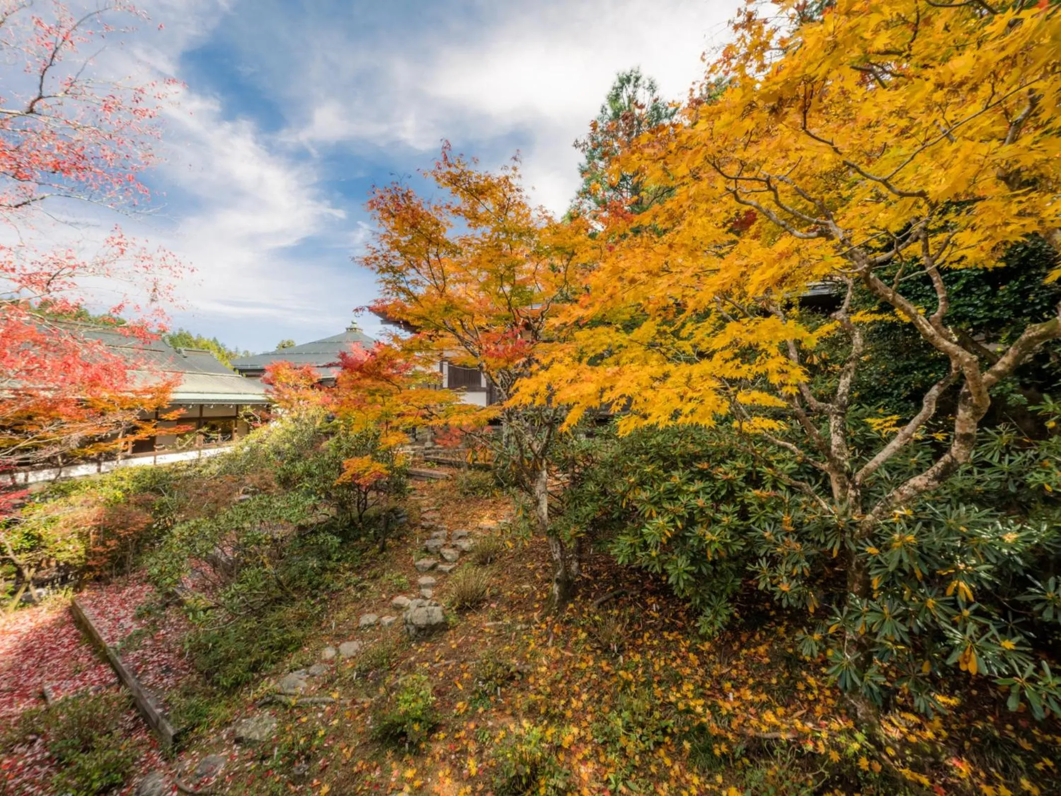 Natural landscape in 高野山 宿坊 恵光院 -Koyasan Syukubo Ekoin Temple-