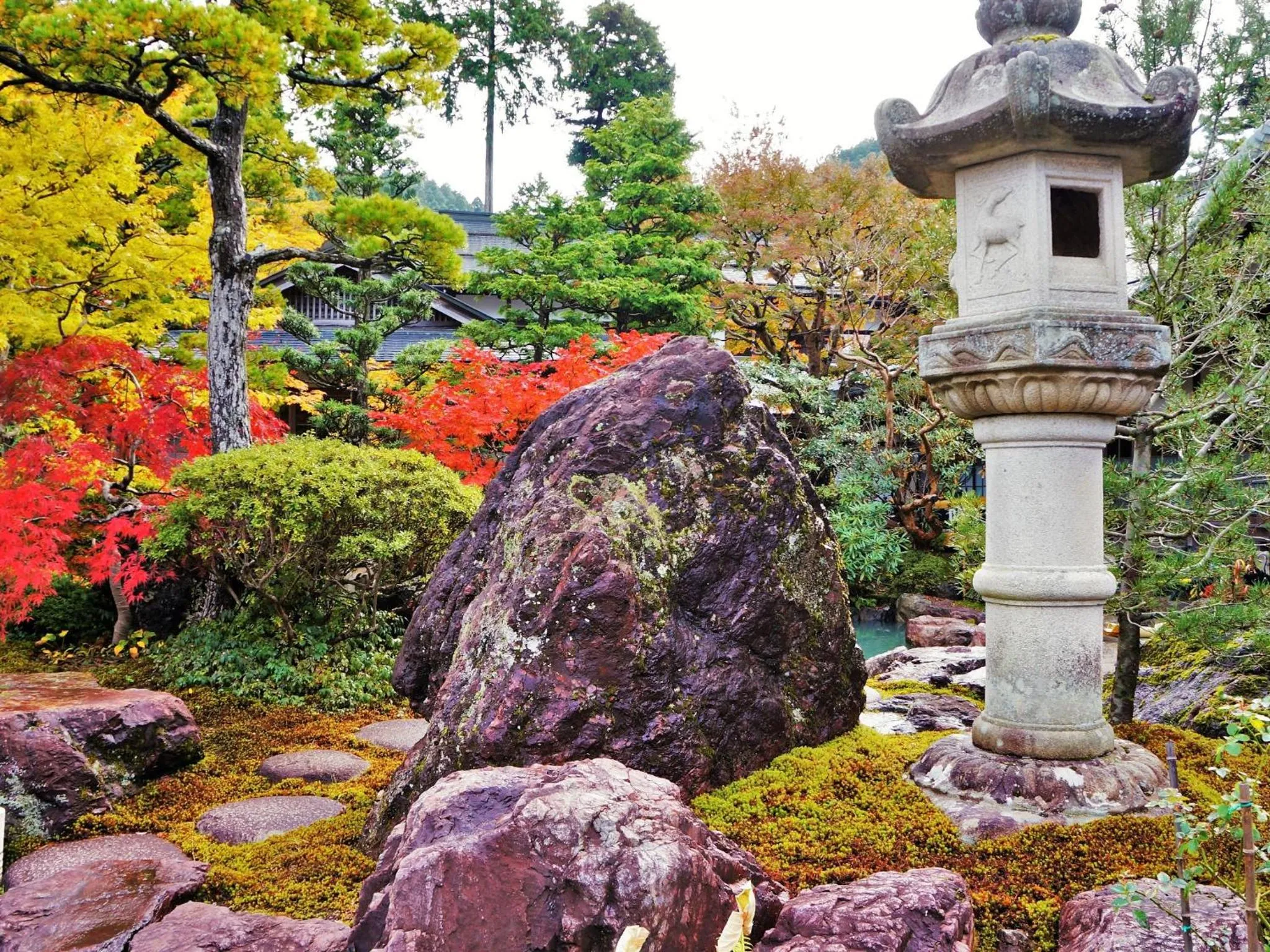 Garden in 高野山 宿坊 恵光院 -Koyasan Syukubo Ekoin Temple-