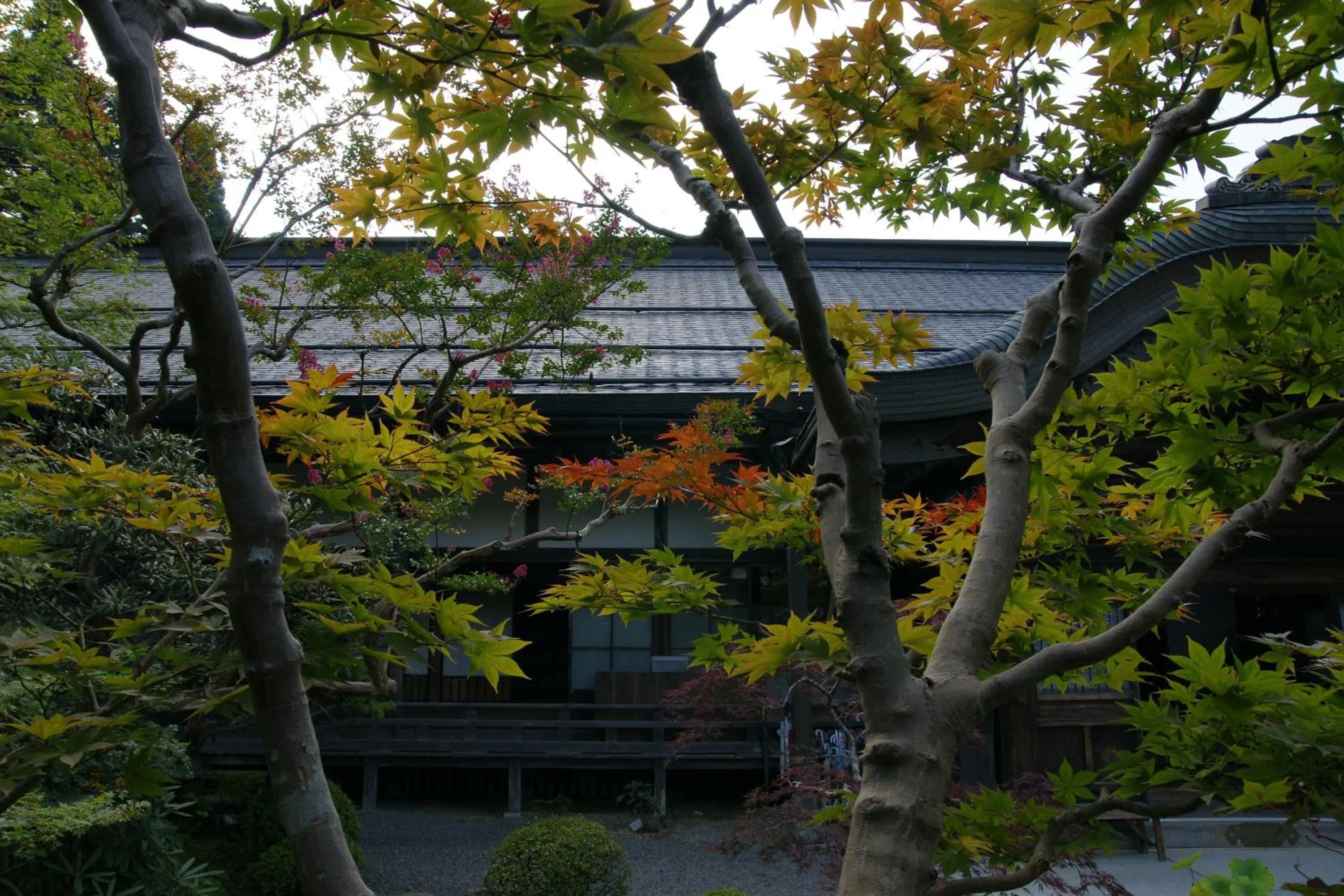Area and facilities in 高野山 宿坊 恵光院 -Koyasan Syukubo Ekoin Temple-