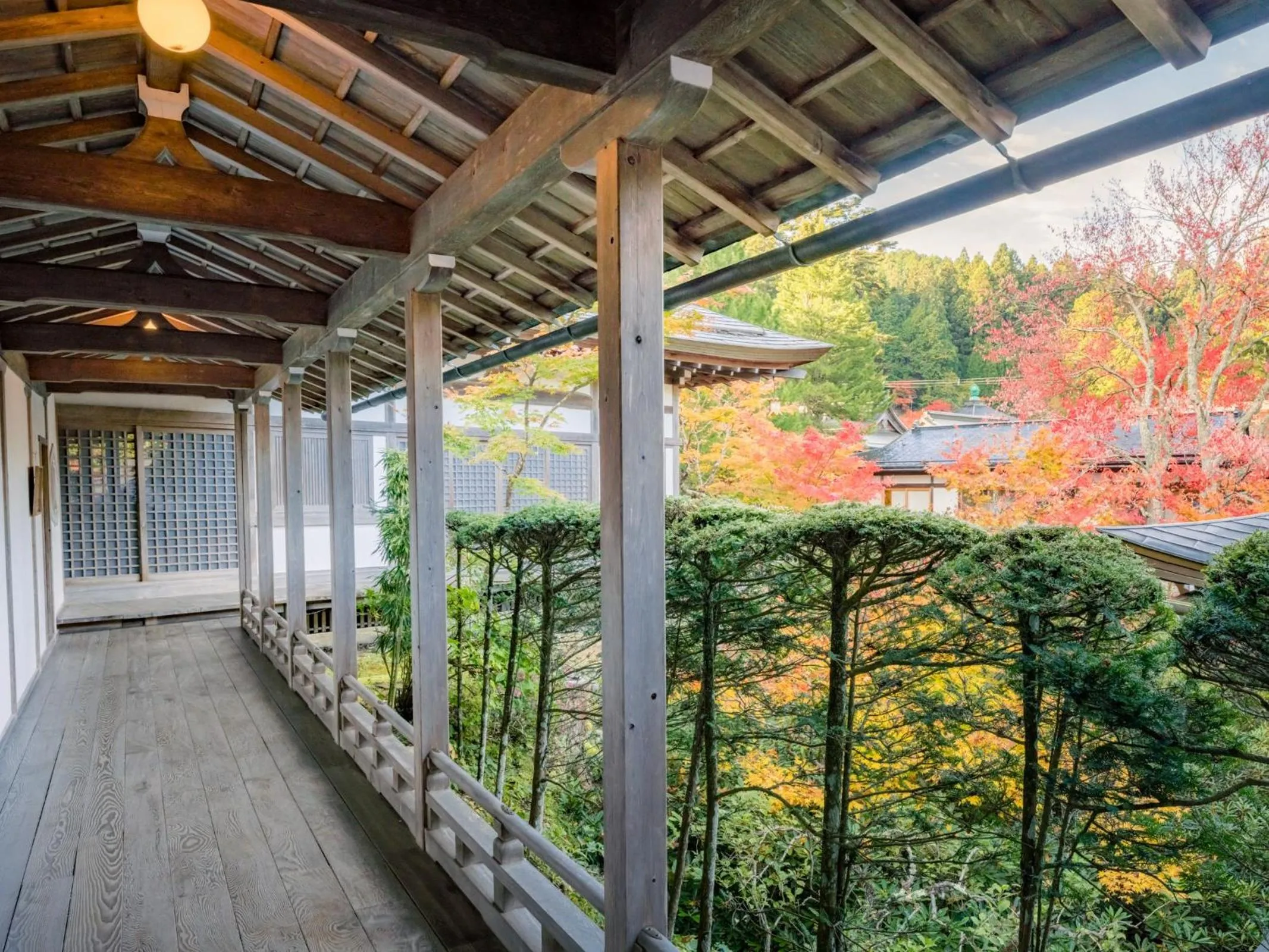 Area and facilities in 高野山 宿坊 恵光院 -Koyasan Syukubo Ekoin Temple-