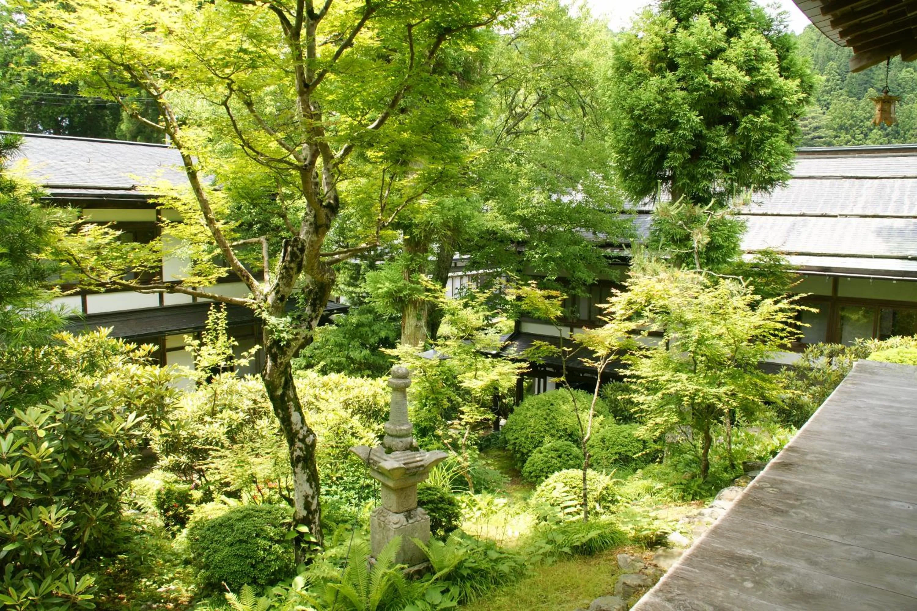 Garden in 高野山 宿坊 恵光院 -Koyasan Syukubo Ekoin Temple-