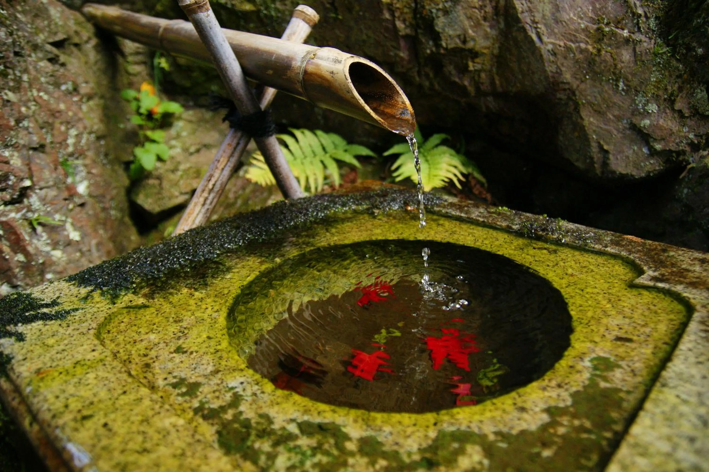 Decorative detail in 高野山 宿坊 恵光院 -Koyasan Syukubo Ekoin Temple-