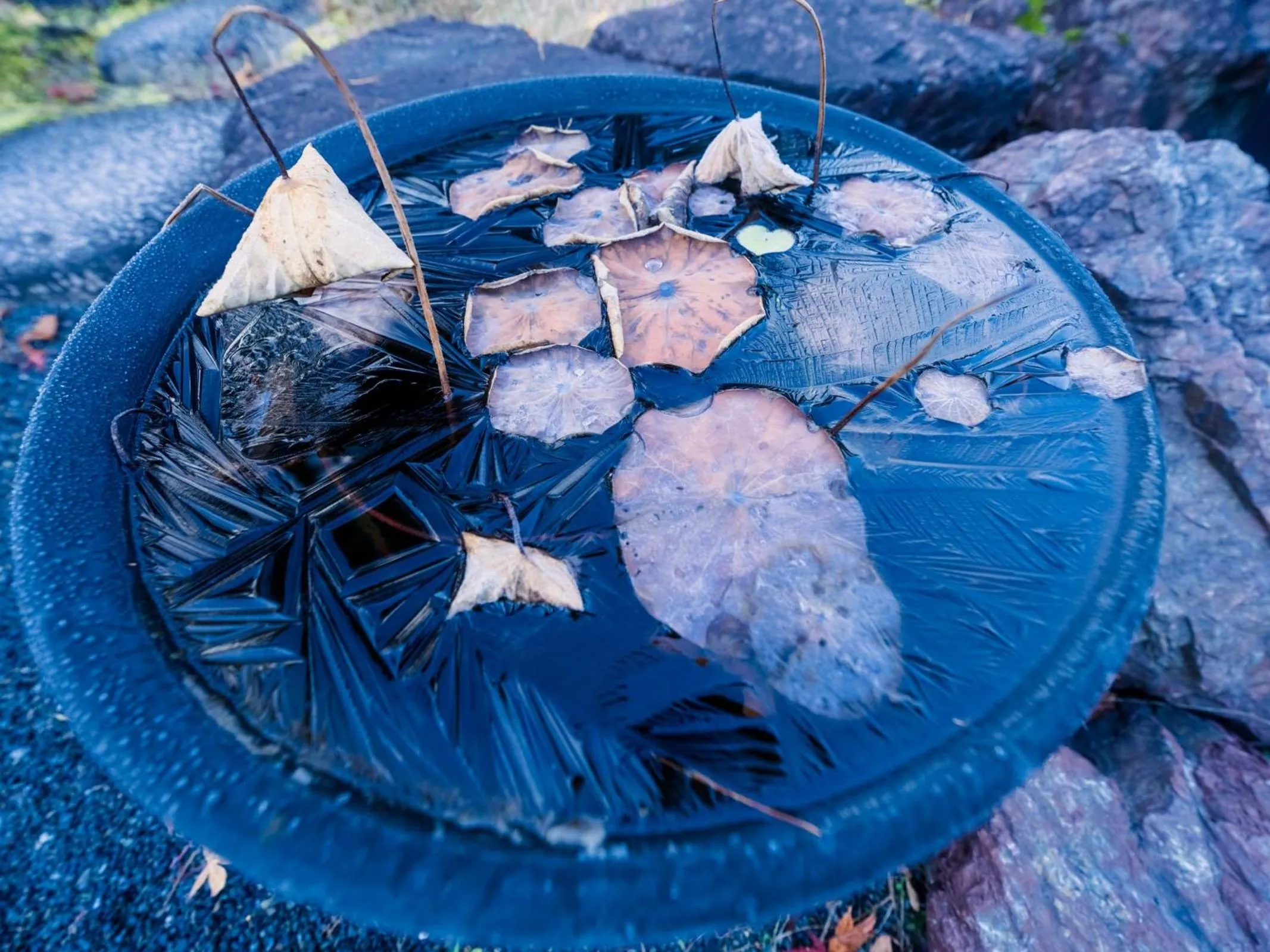 Decorative detail in 高野山 宿坊 恵光院 -Koyasan Syukubo Ekoin Temple-