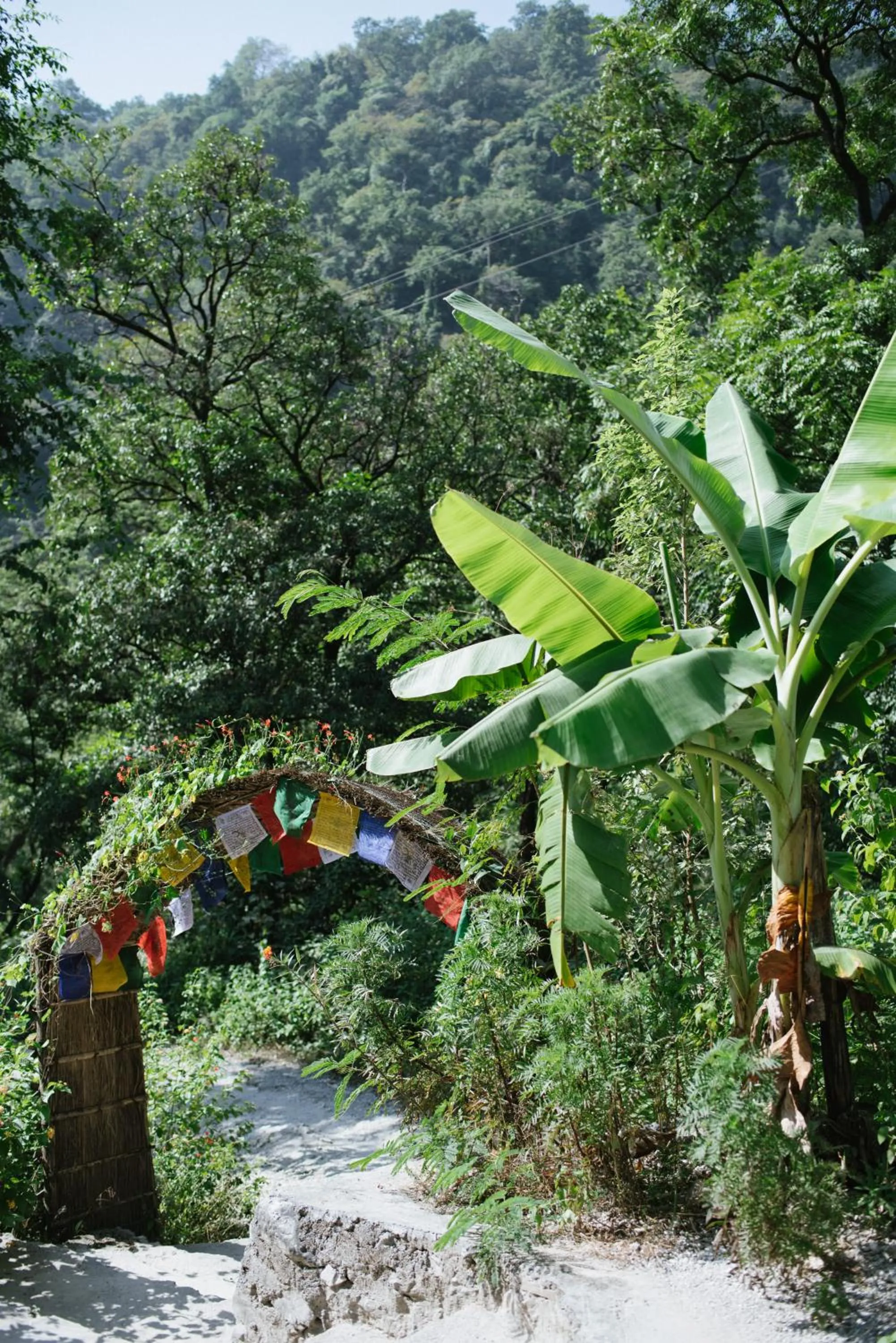 Rishikesh Valley