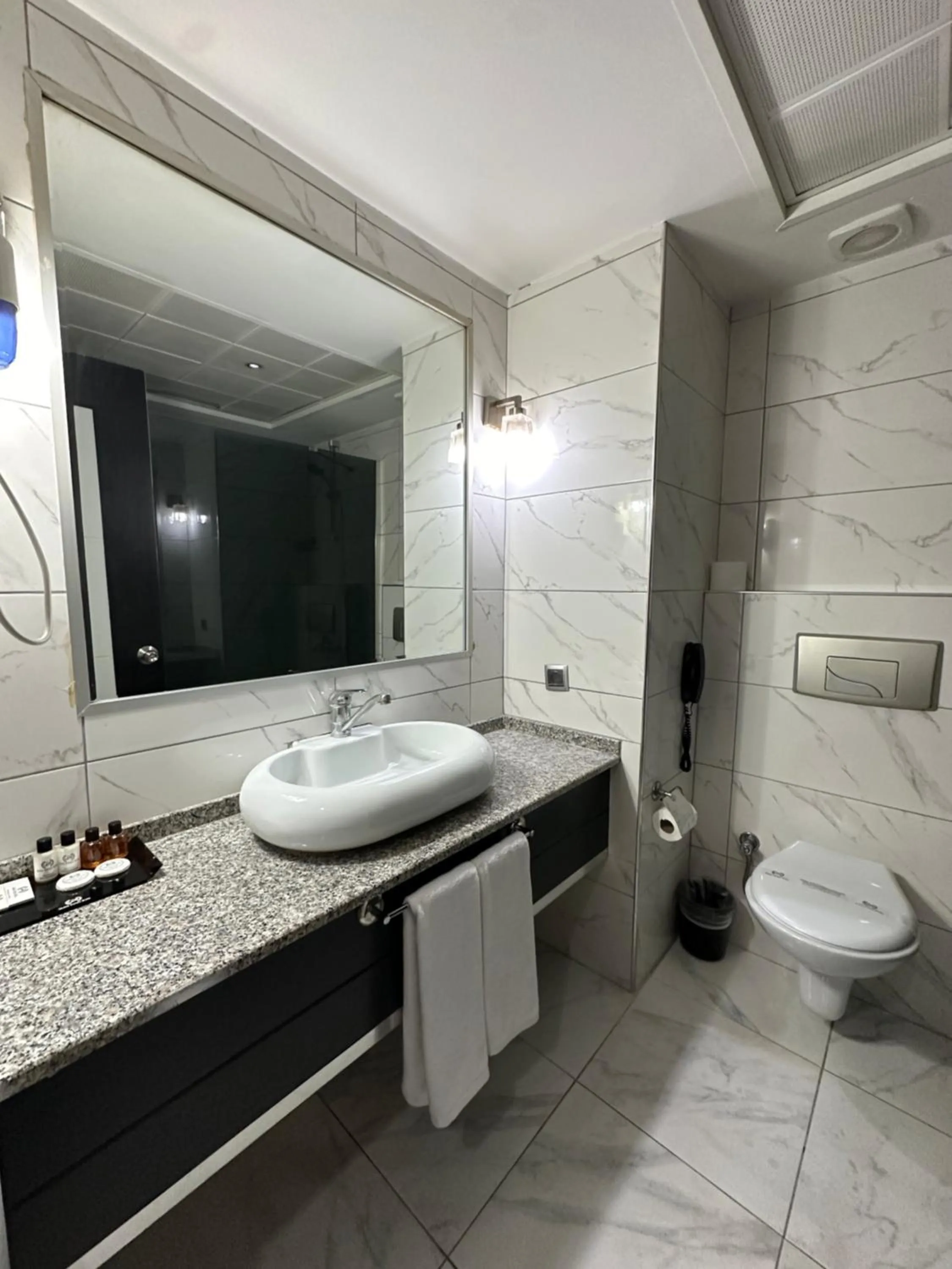 Toilet in Grand Denizli Hotel