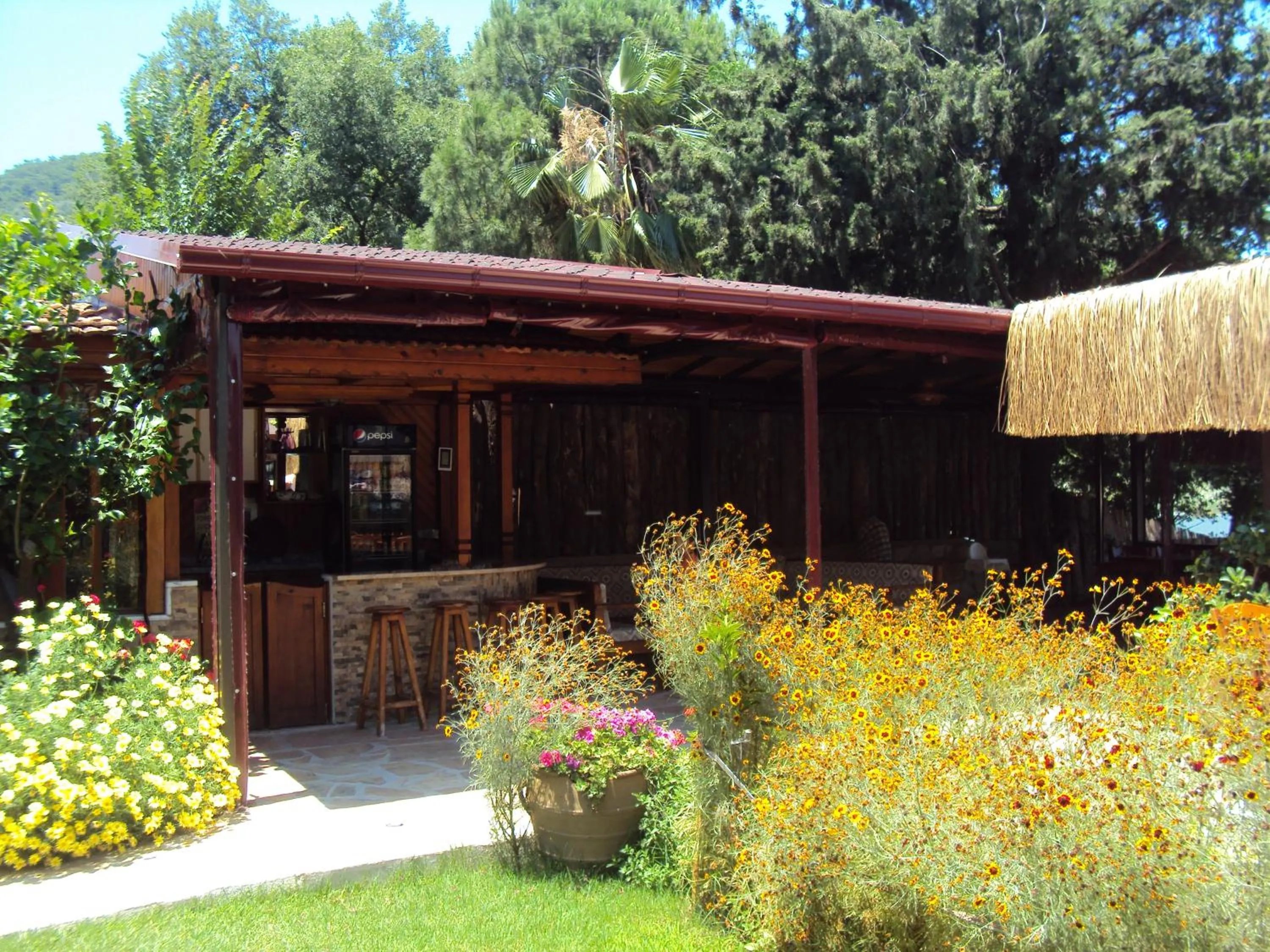 Lounge or bar in Dalyan Pension