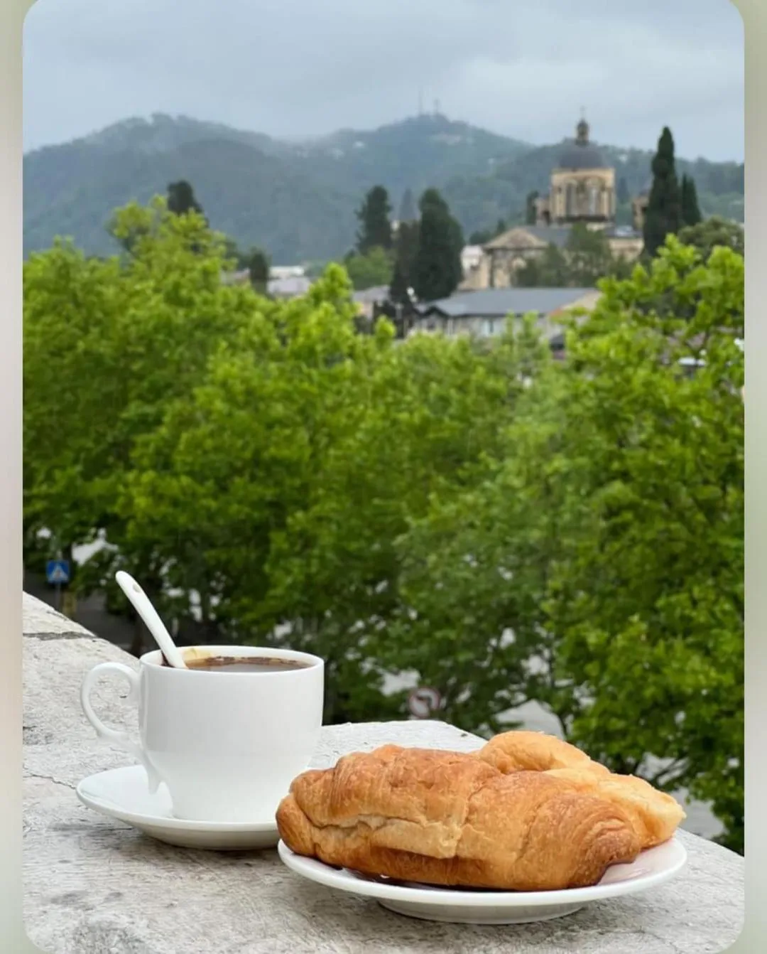 Natural landscape in Hotel Traveler