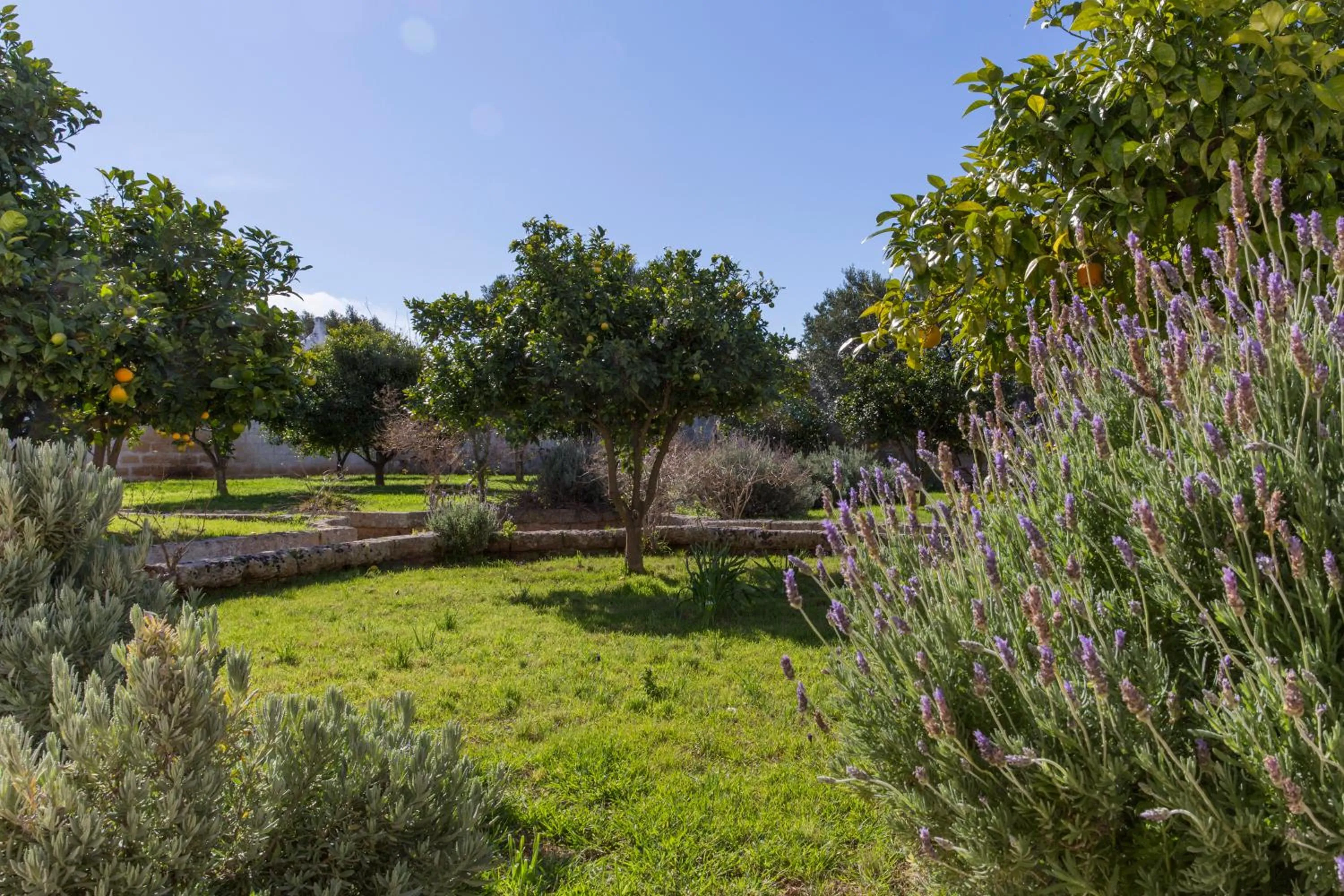 Garden in Masseria San Giovanni - Epoca Collection