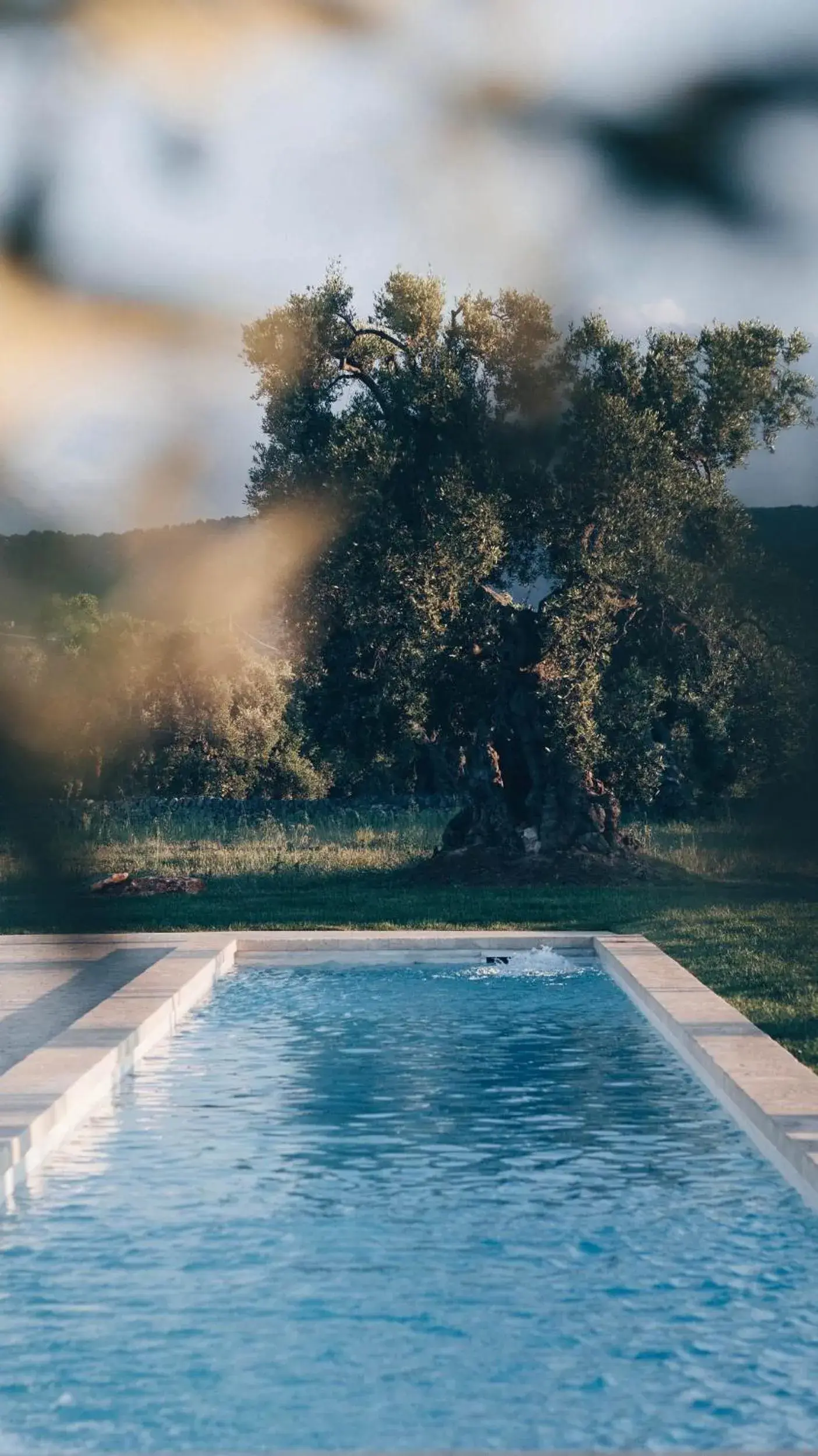 Swimming pool in Masseria San Giovanni - Epoca Collection Swimming pool in Masseria San Giovanni - Epoca Collection