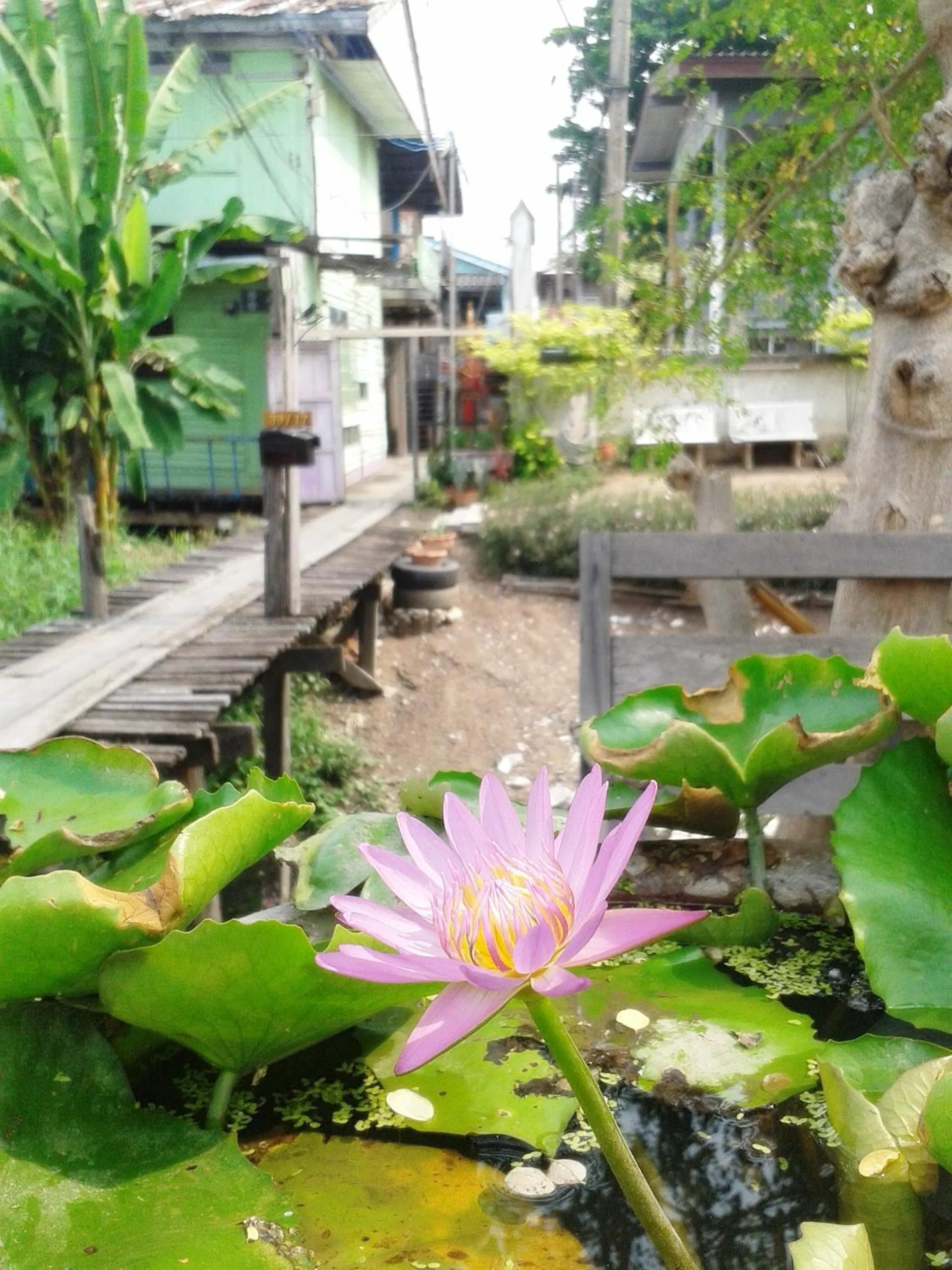 Facade/entrance in Ray Nu Guest House