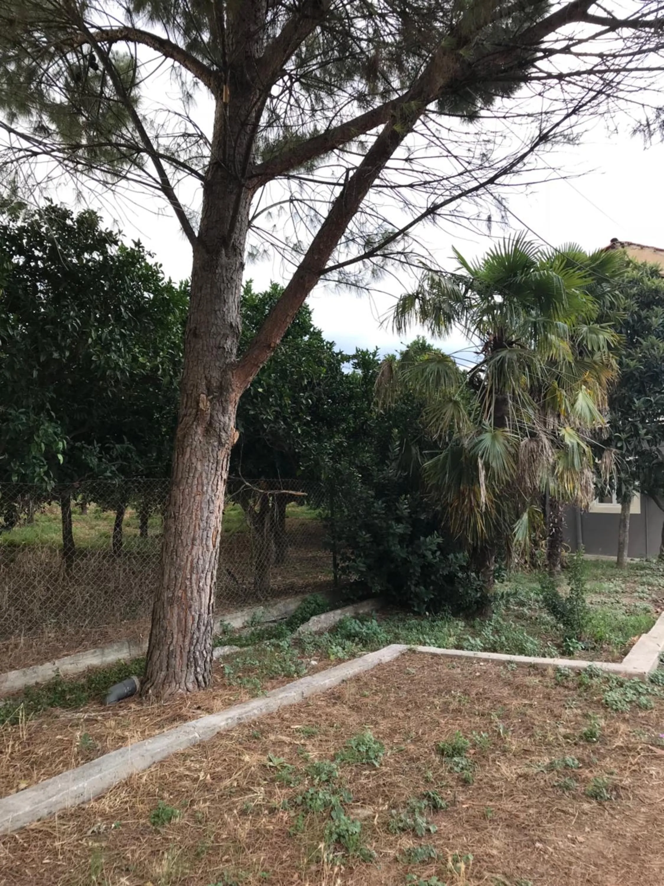 Natural landscape in Taygetos