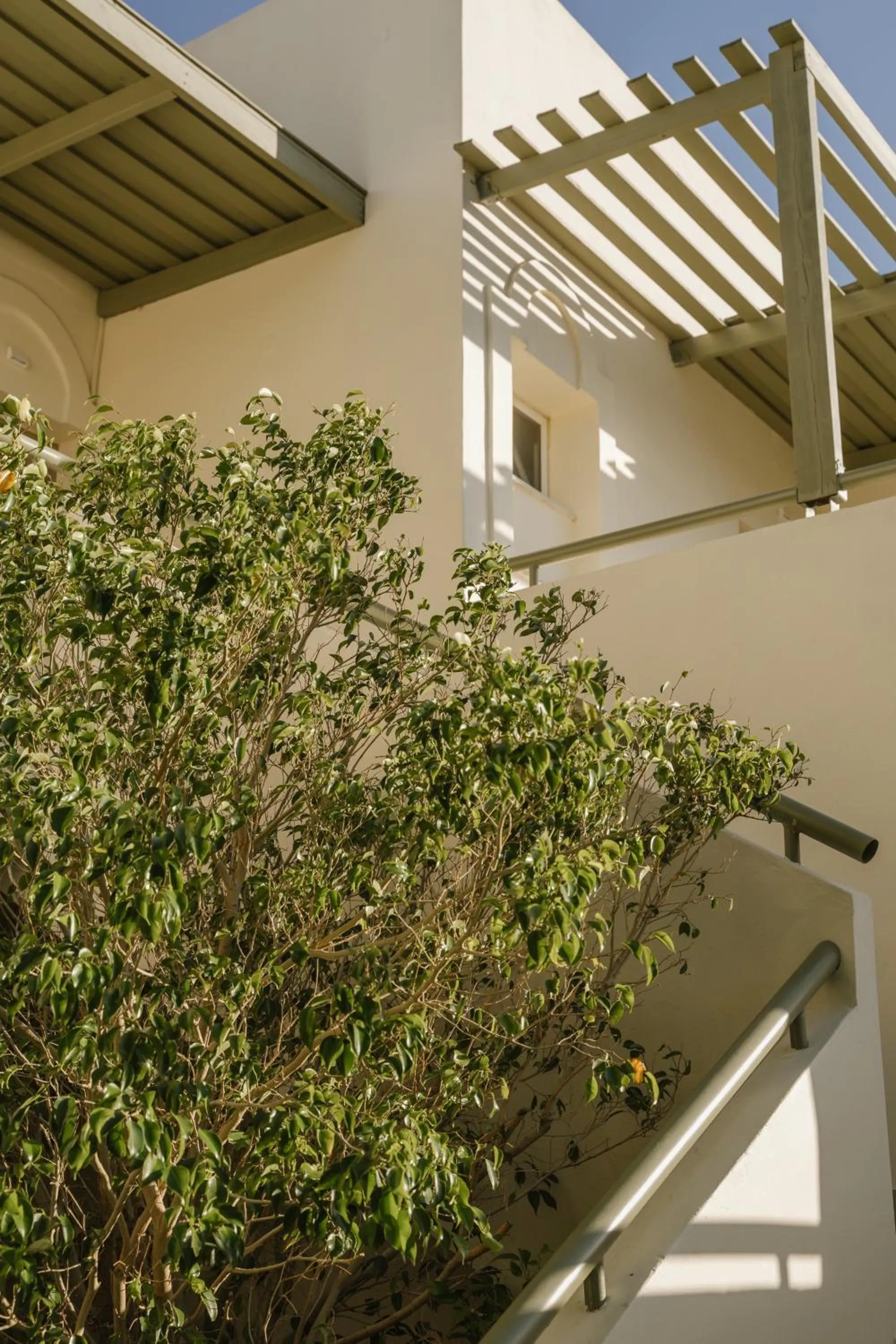 Garden in Almyra Resort