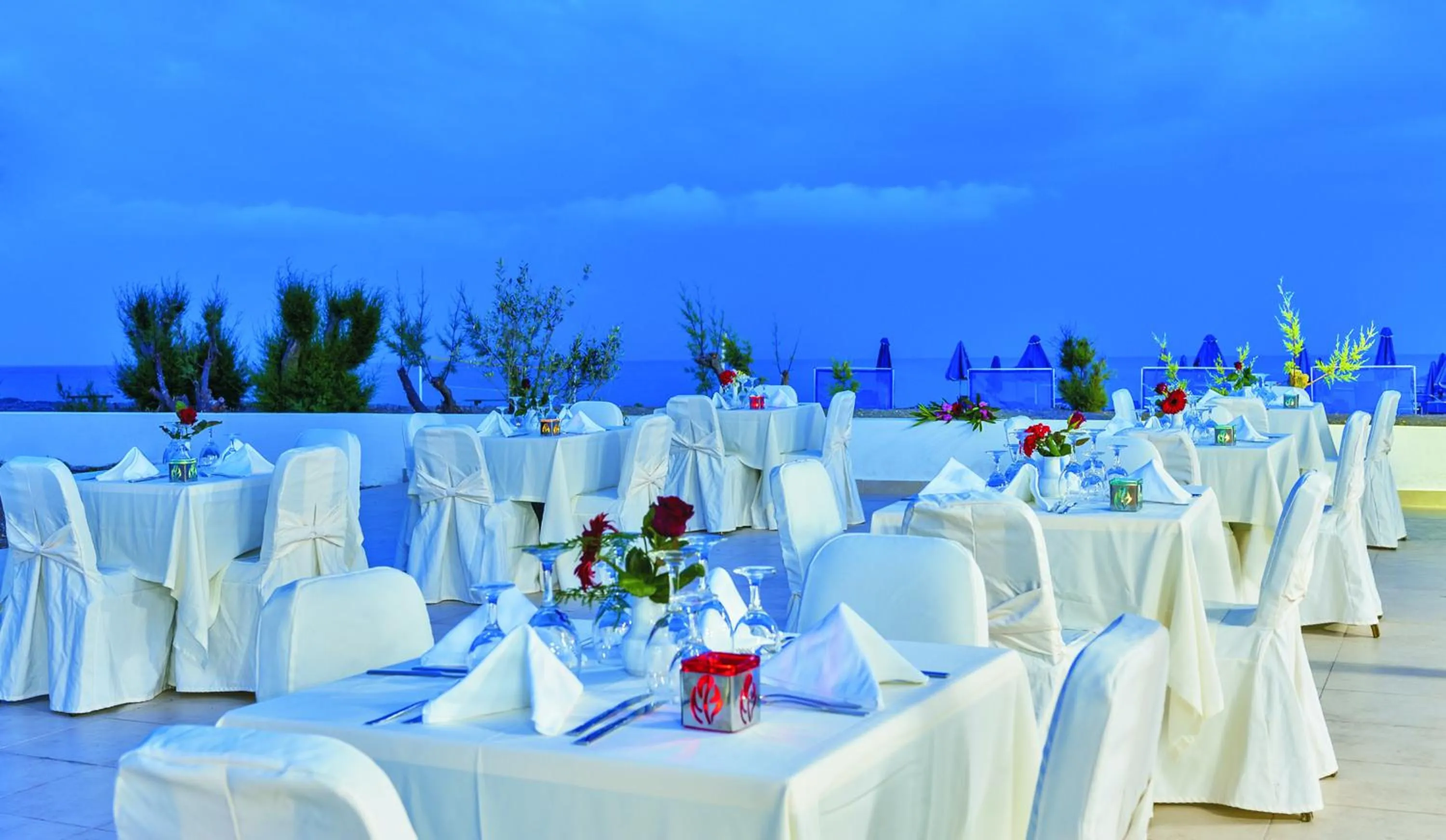 Banquet/Function facilities in Almyra Resort
