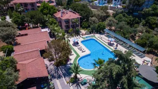 Pool view in Club Pink Palace Hotel Pool view in Club Pink Palace Hotel