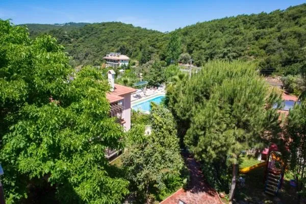 Bird's eye view in Club Pink Palace Hotel