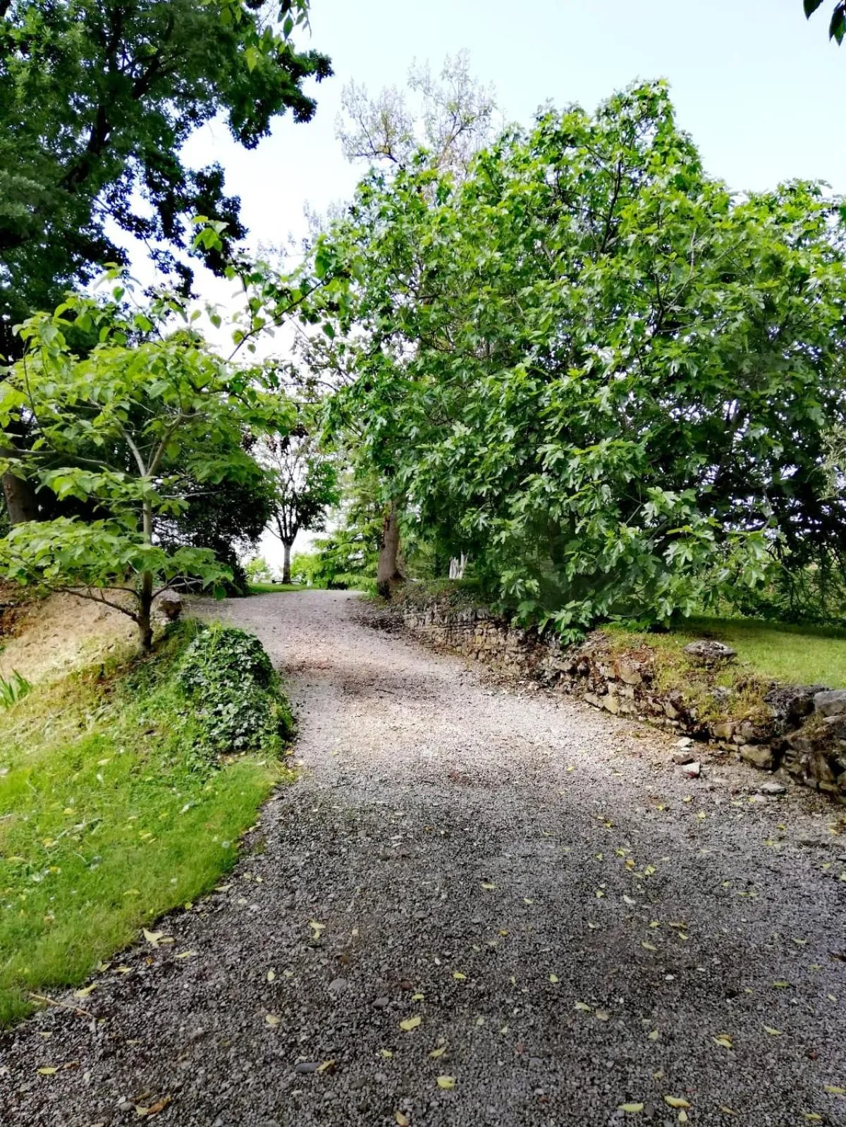 Garden in La Verrerie
