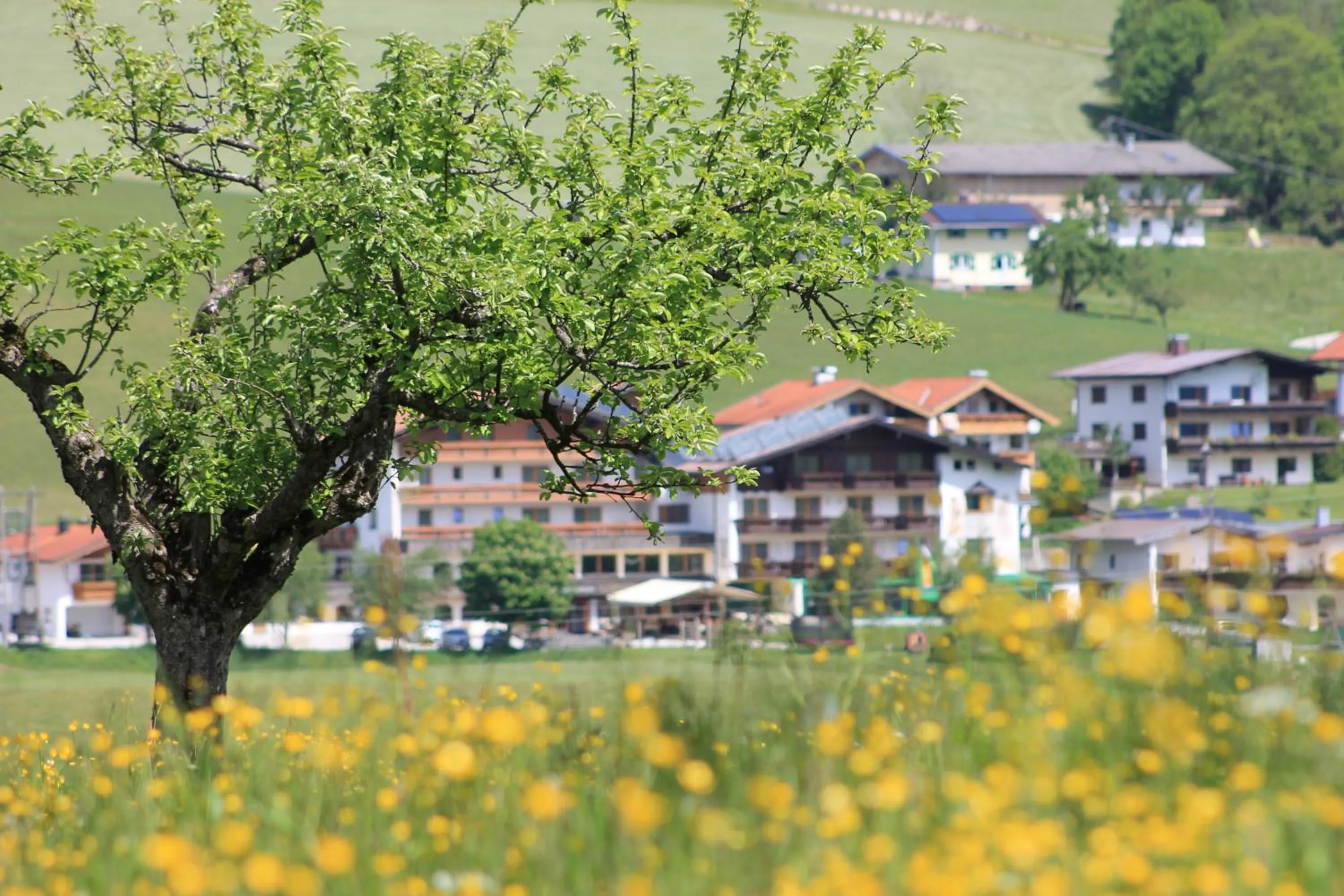 Spring in Hotel Wildauerhof